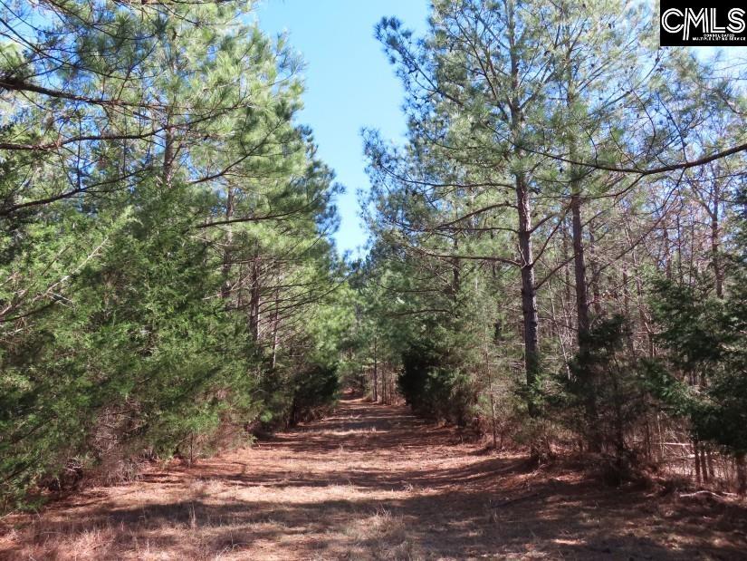 Sc 200 Highway, Winnsboro, South Carolina image 20