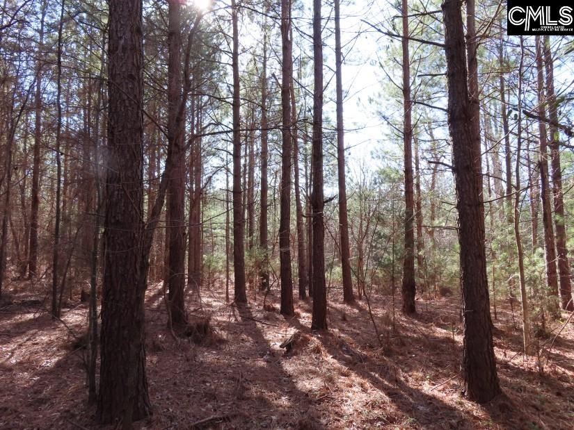 Sc 200 Highway, Winnsboro, South Carolina image 21