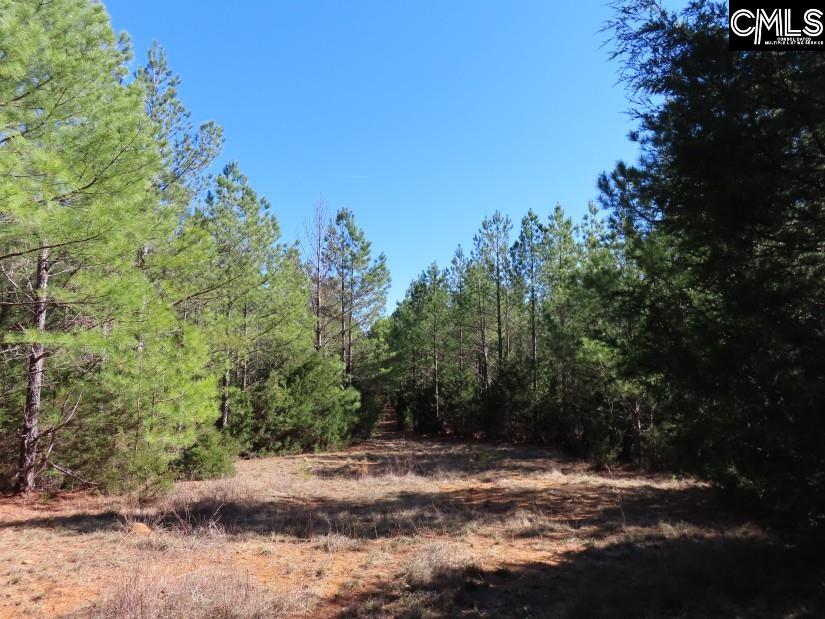 Sc 200 Highway, Winnsboro, South Carolina image 23