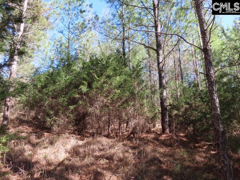 Sc 200 Highway, Winnsboro, South Carolina image 24