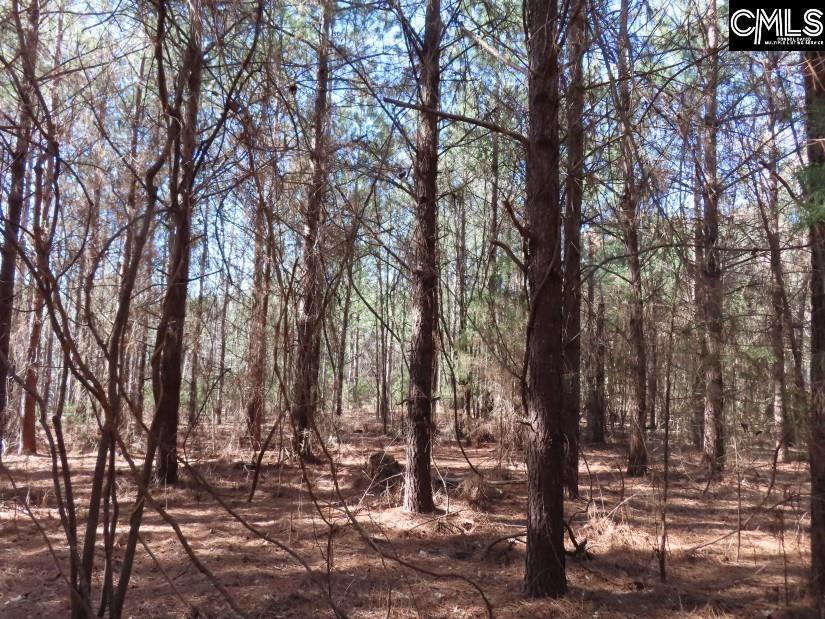 Sc 200 Highway, Winnsboro, South Carolina image 25