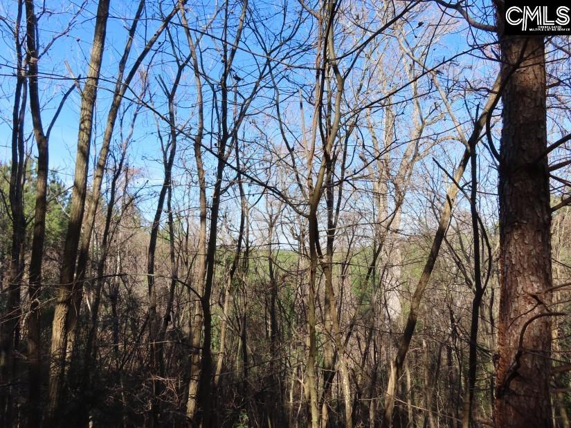 Sc 200 Highway, Winnsboro, South Carolina image 28