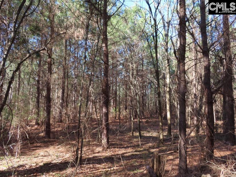 Sc 200 Highway, Winnsboro, South Carolina image 30