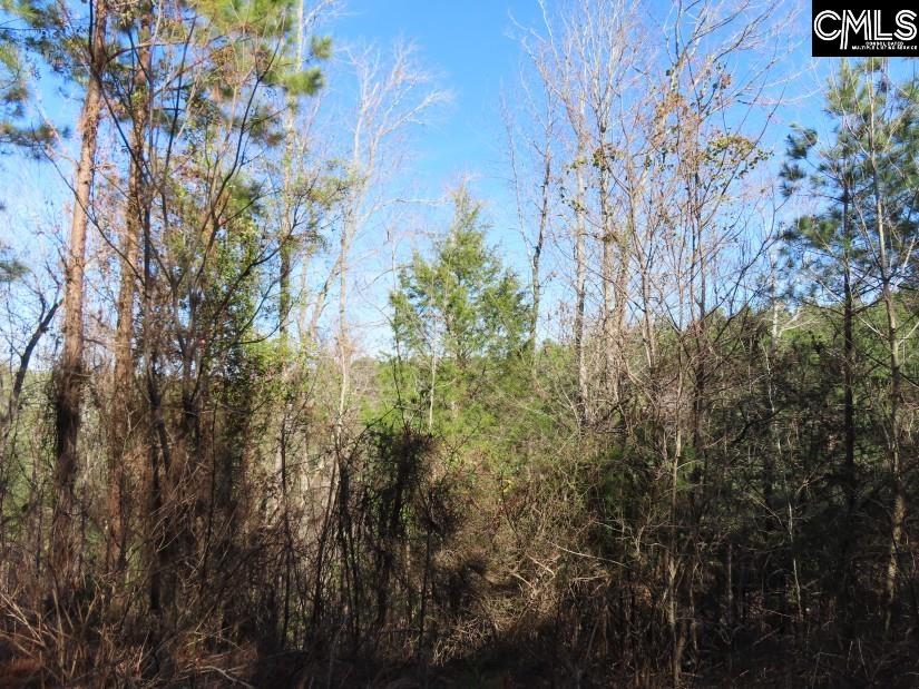 Sc 200 Highway, Winnsboro, South Carolina image 32