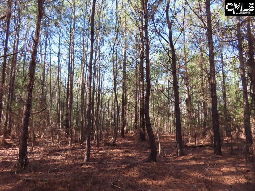 Sc 200 Highway, Winnsboro, South Carolina image 33