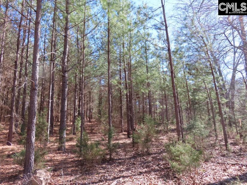 Sc 200 Highway, Winnsboro, South Carolina image 34