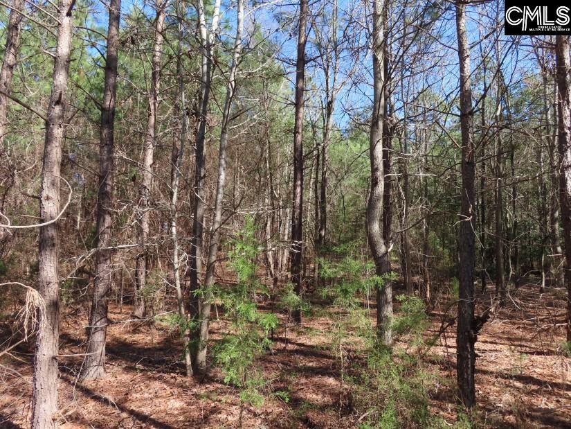 Sc 200 Highway, Winnsboro, South Carolina image 35