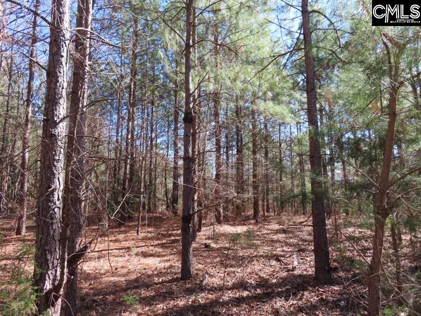 Sc 200 Highway, Winnsboro, South Carolina image 36