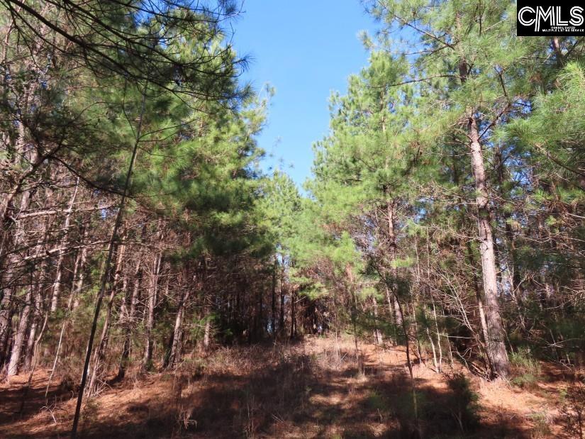 Sc Highway Winnsboro, SC 29180