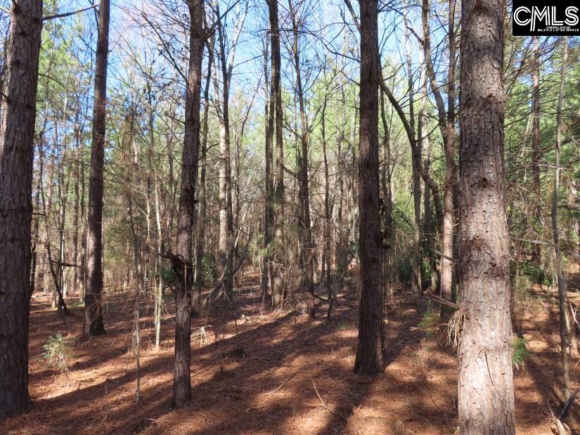 Sc 200 Highway, Winnsboro, South Carolina image 39