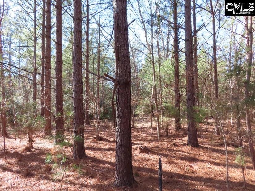 Sc Highway Winnsboro, SC 29180