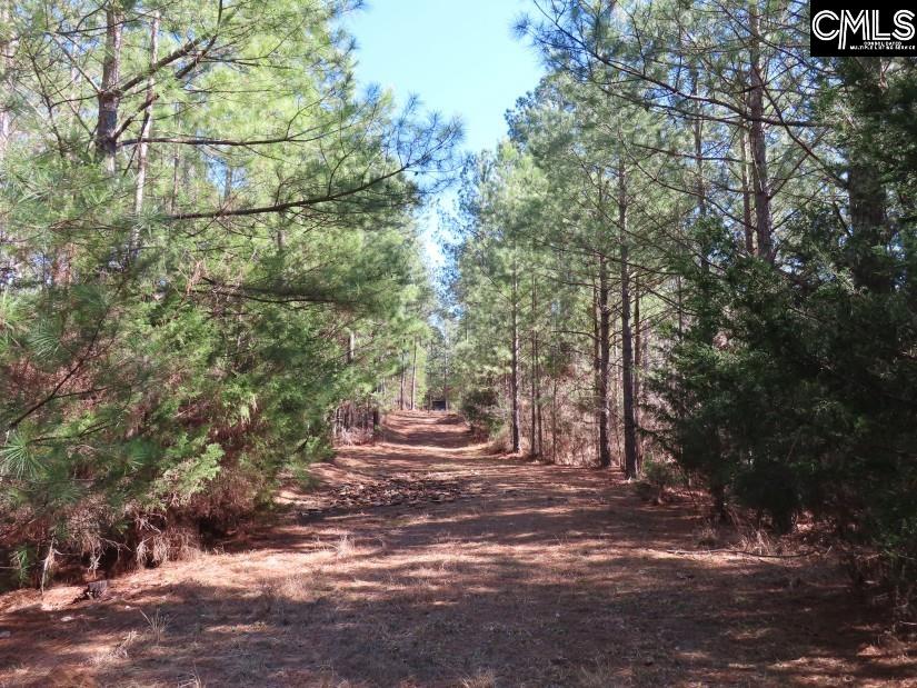 Sc 200 Highway, Winnsboro, South Carolina image 6