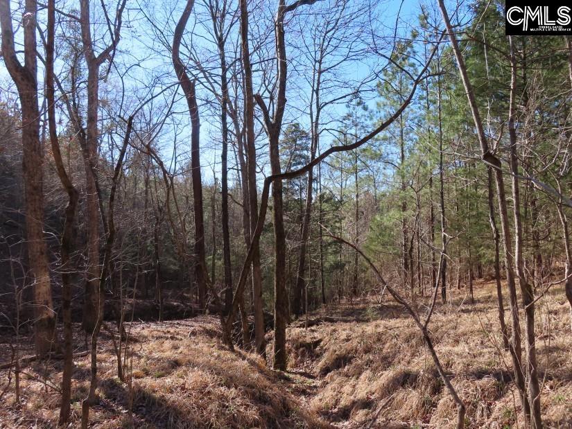 Sc 200 Highway, Winnsboro, South Carolina image 7