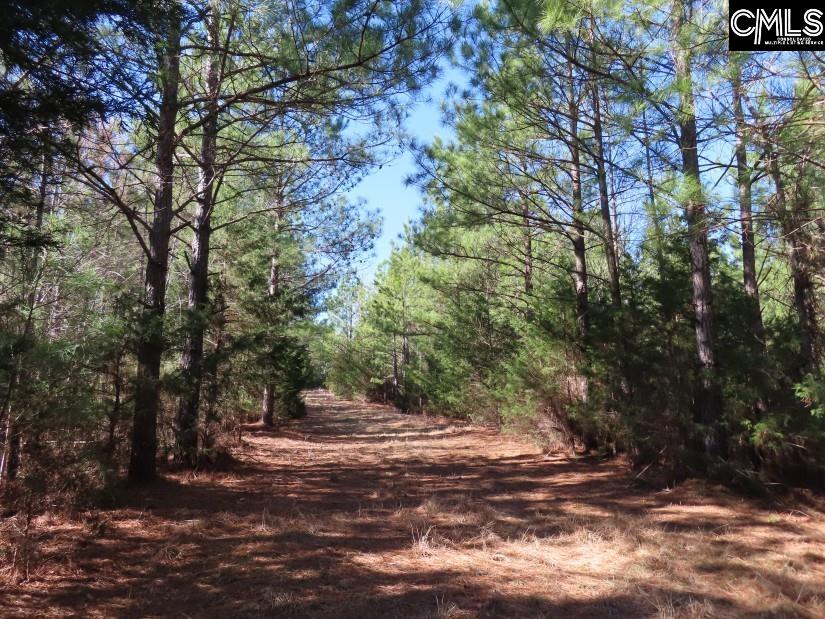 Sc 200 Highway, Winnsboro, South Carolina image 9