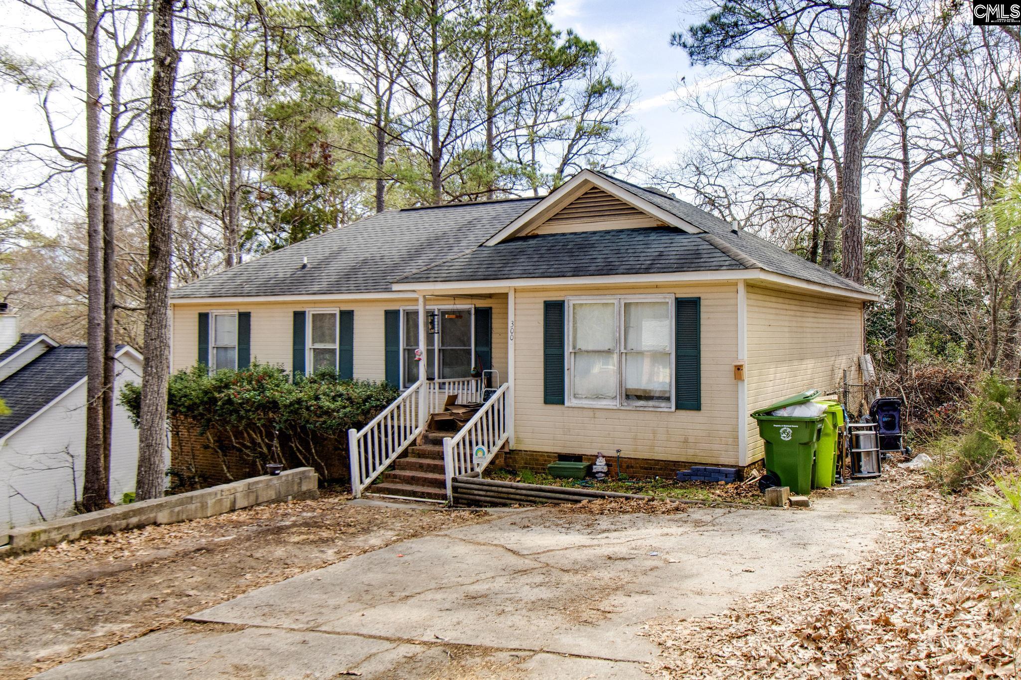 300 Netherland Drive, Irmo, South Carolina image 1