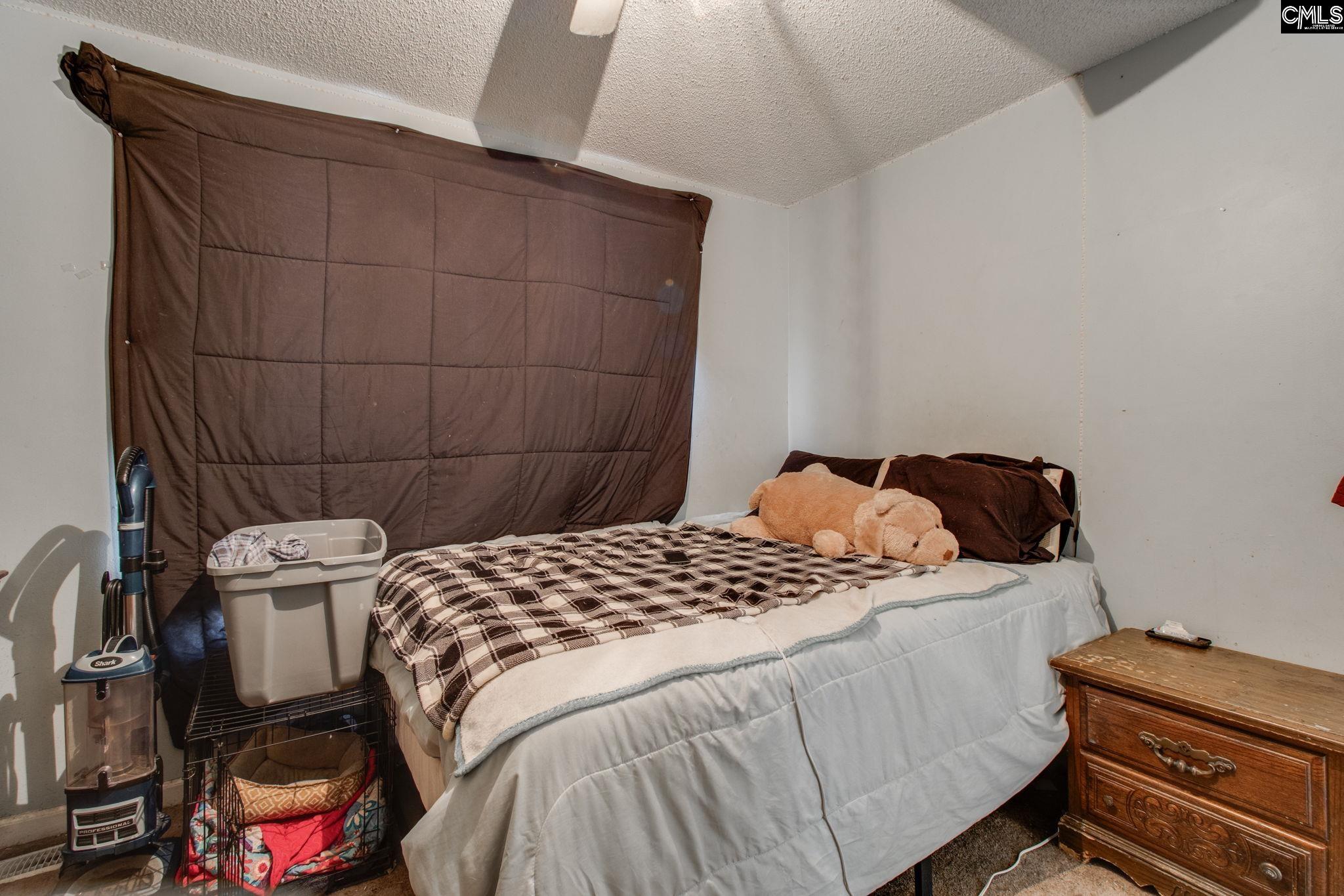 300 Netherland Drive, Irmo, South Carolina image 17