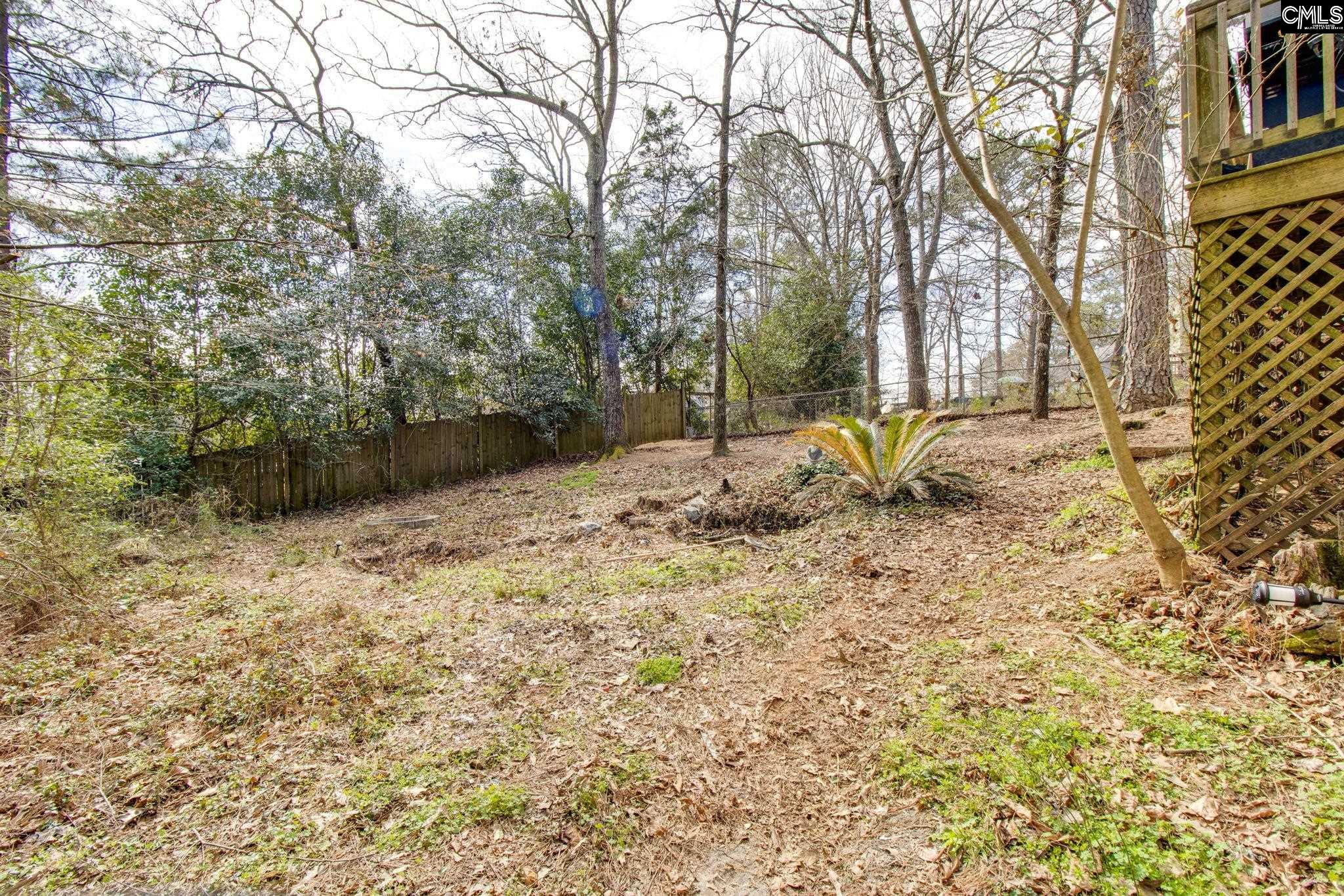 300 Netherland Drive, Irmo, South Carolina image 22