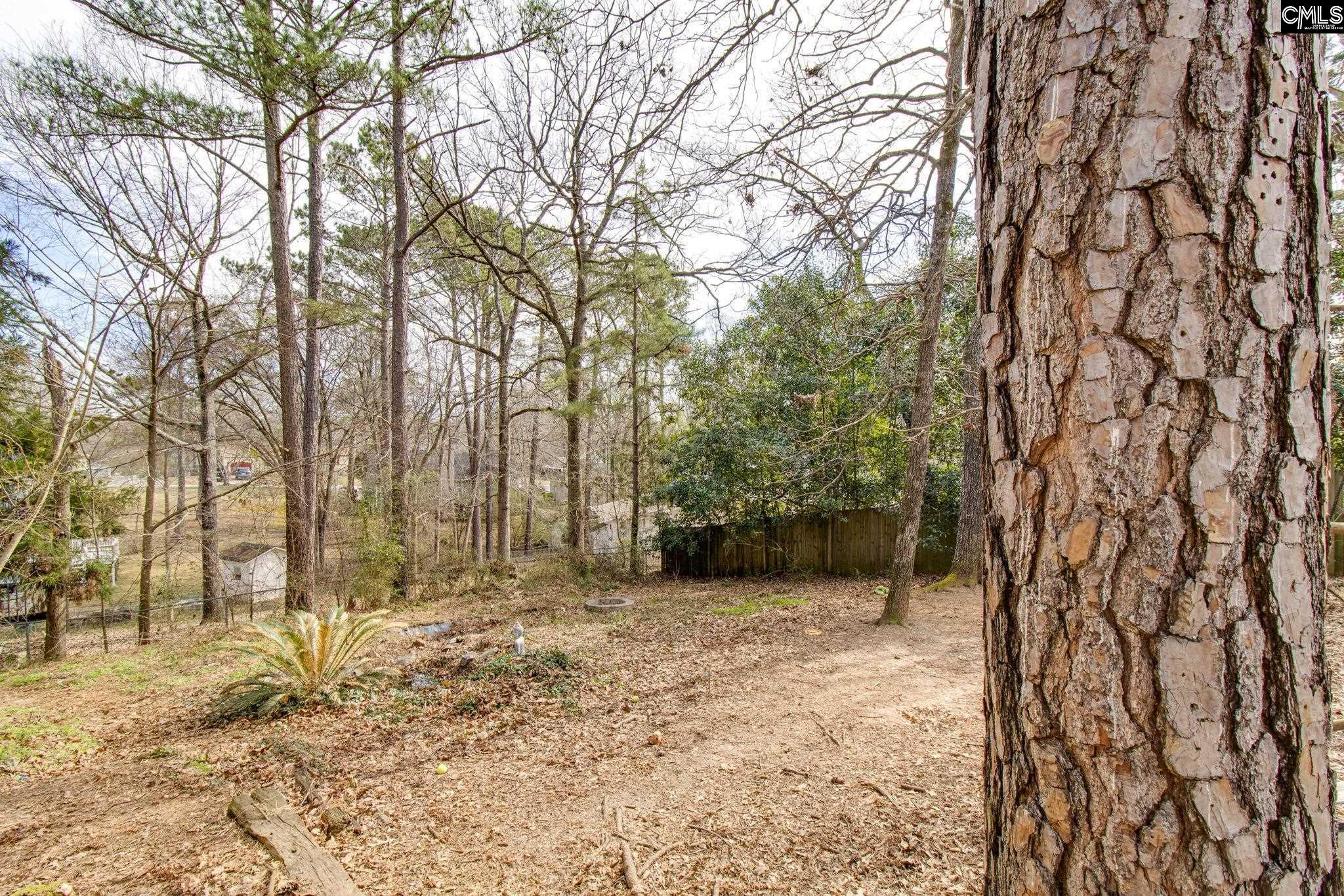 300 Netherland Drive, Irmo, South Carolina image 23