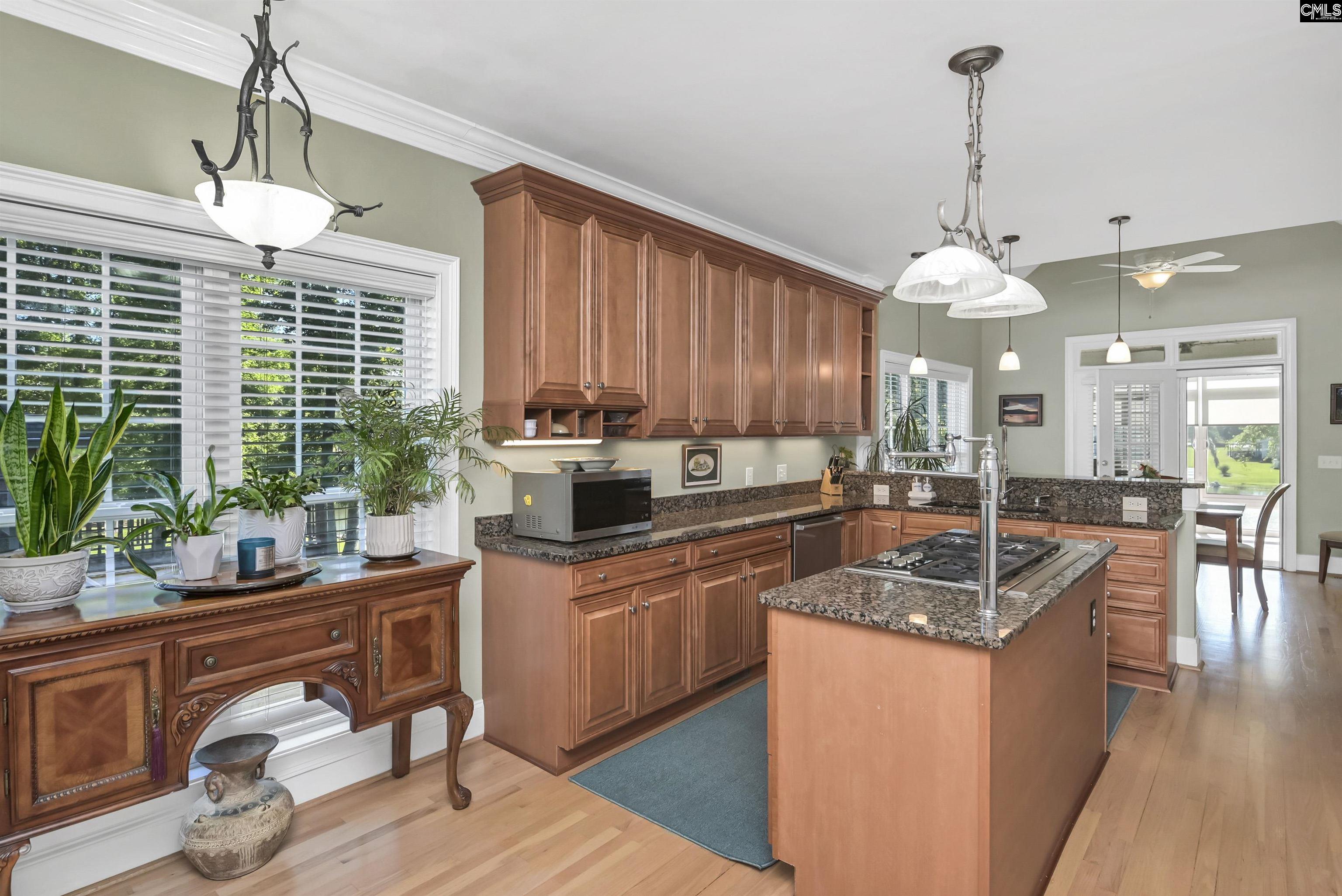 539 Dutchman Shores Circle Chapin, SC 29036