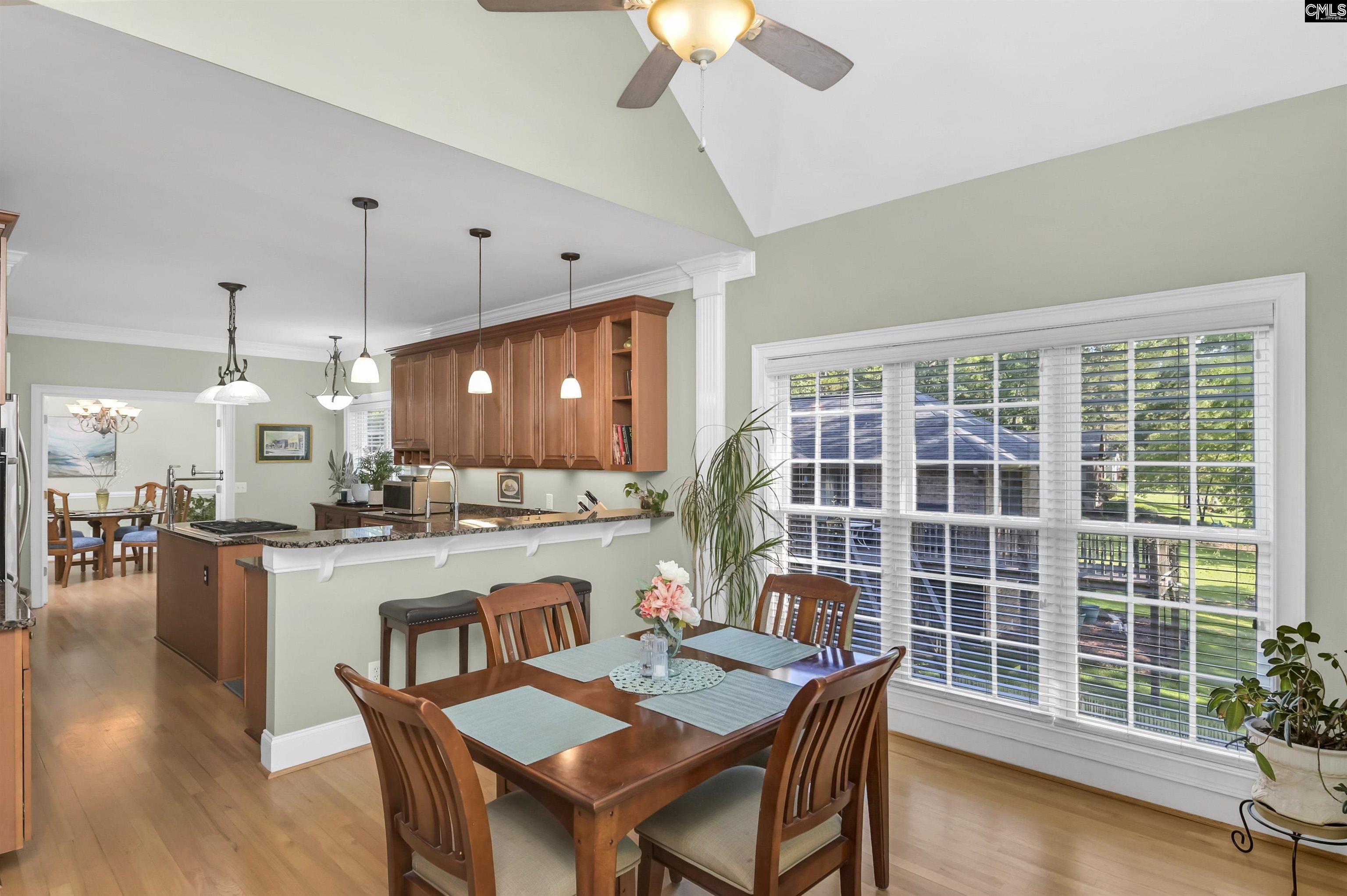 539 Dutchman Shores Circle Chapin, SC 29036