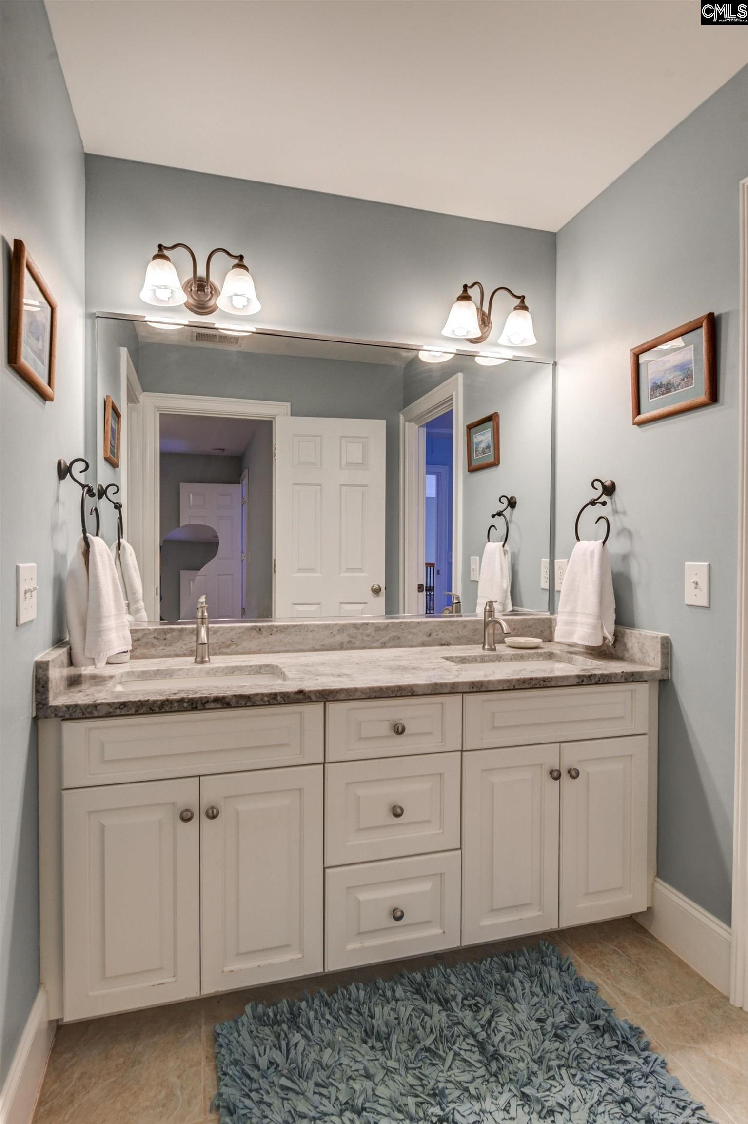 539 Dutchman Shores Circle Chapin, SC 29036