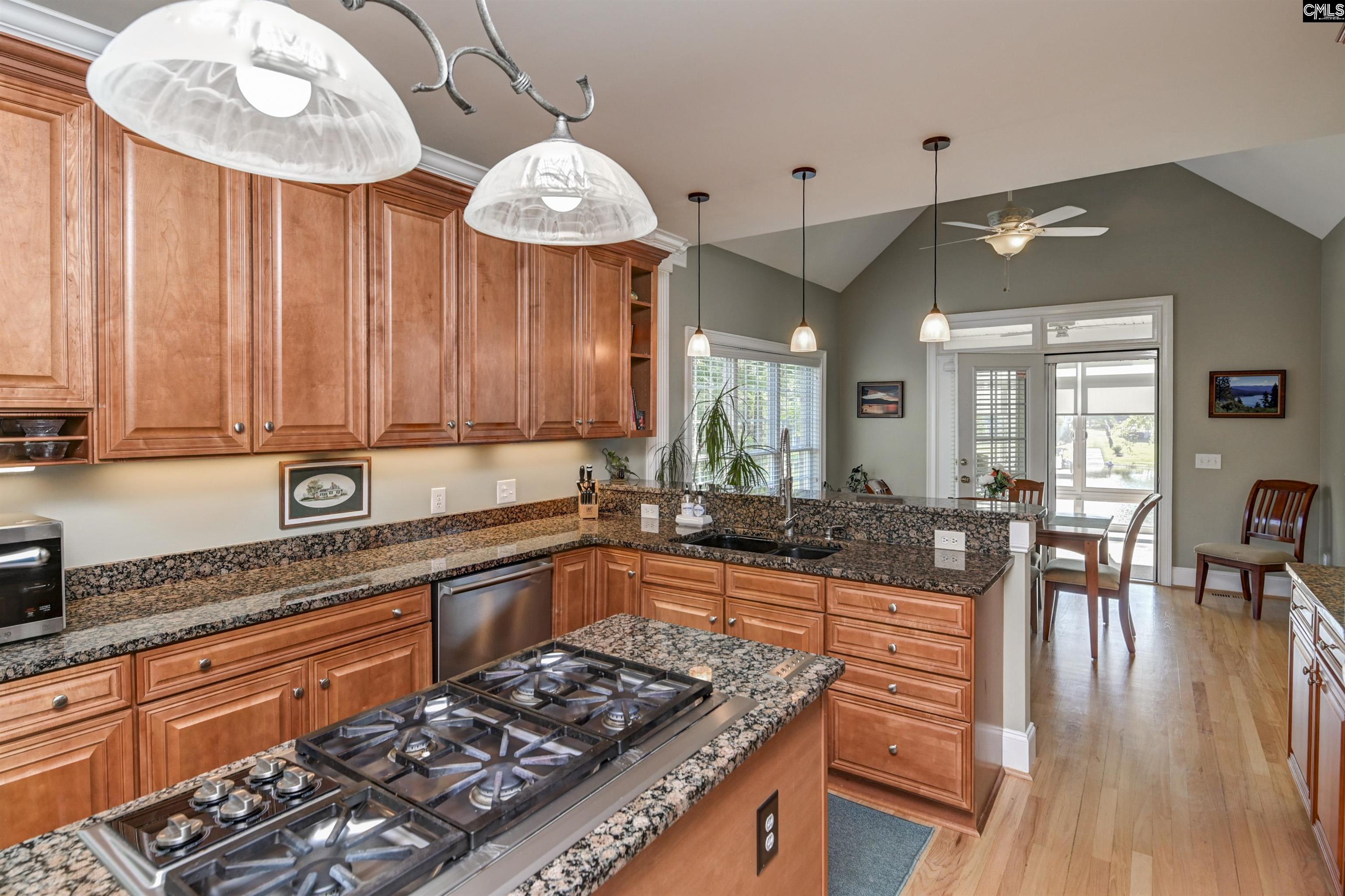 539 Dutchman Shores Circle Chapin, SC 29036