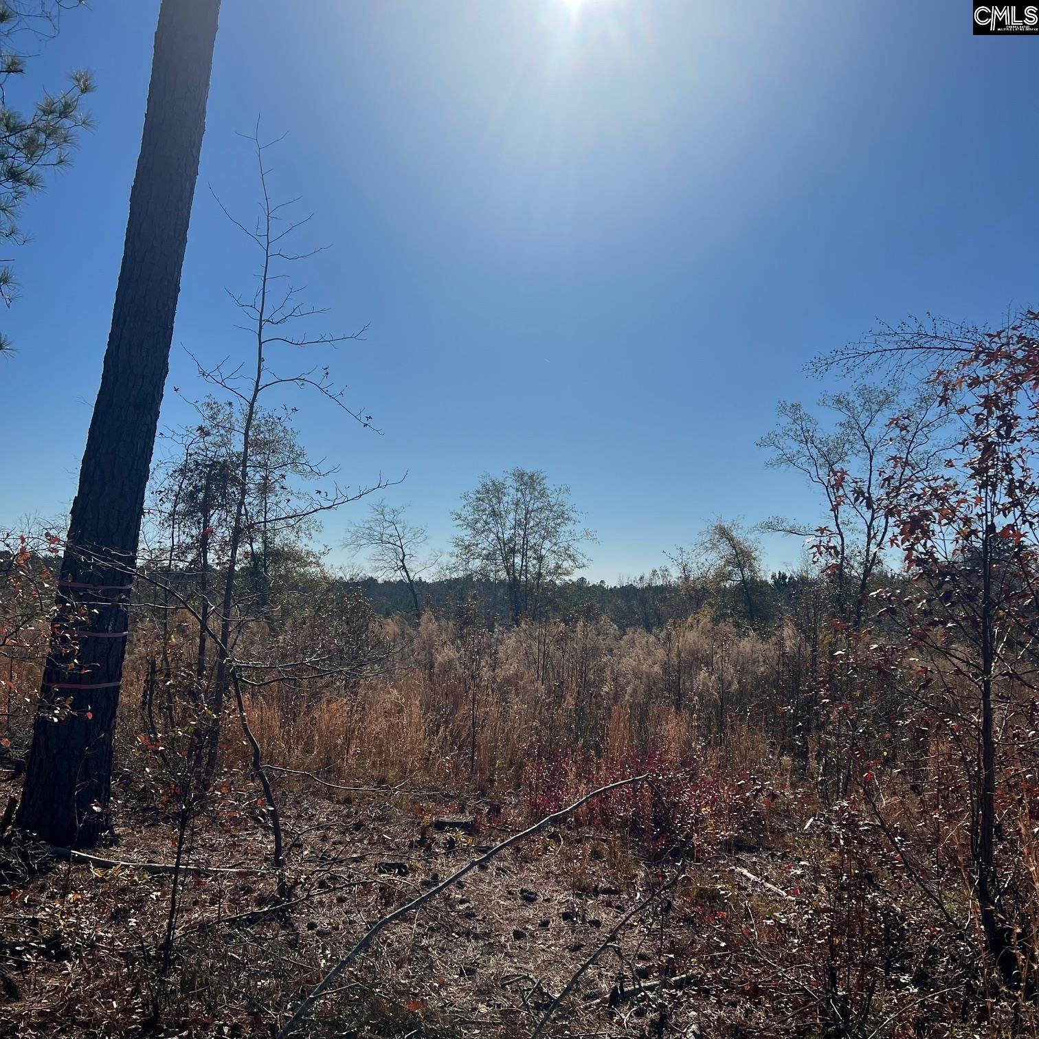 2199 Longtown Road, Ridgeway, South Carolina image 1