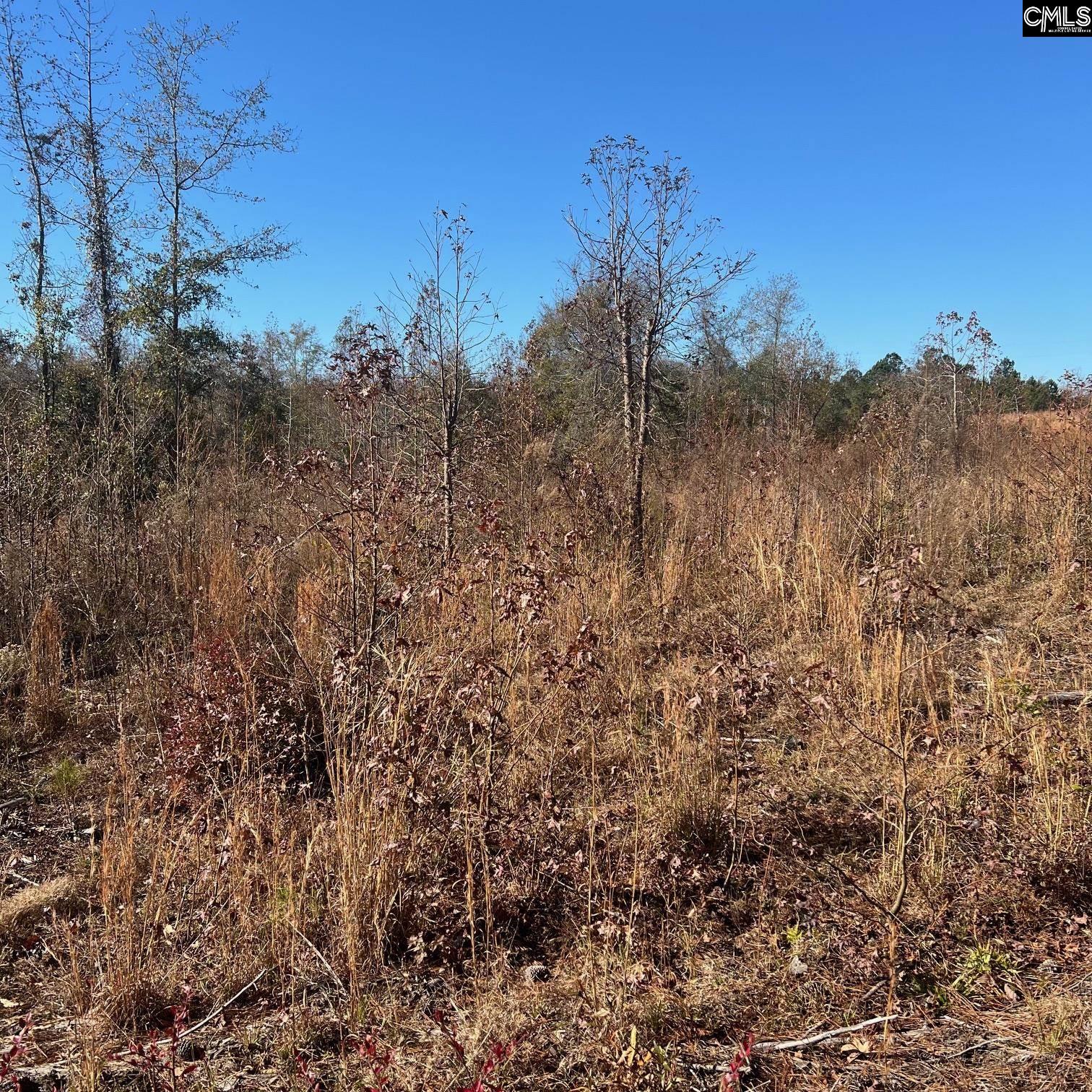 2199 Longtown Road, Ridgeway, South Carolina image 3