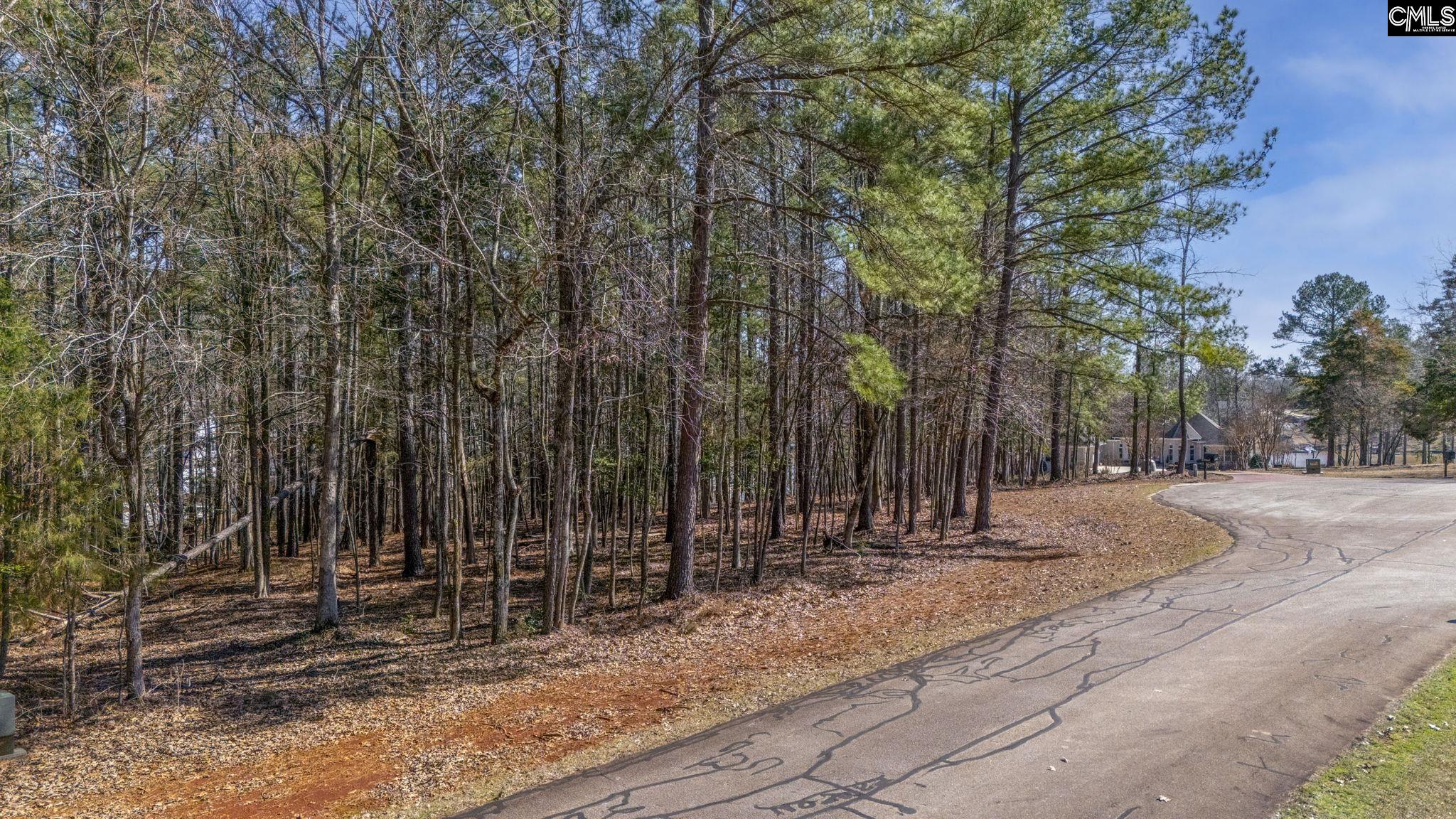 Lookout Point, Prosperity, South Carolina image 9