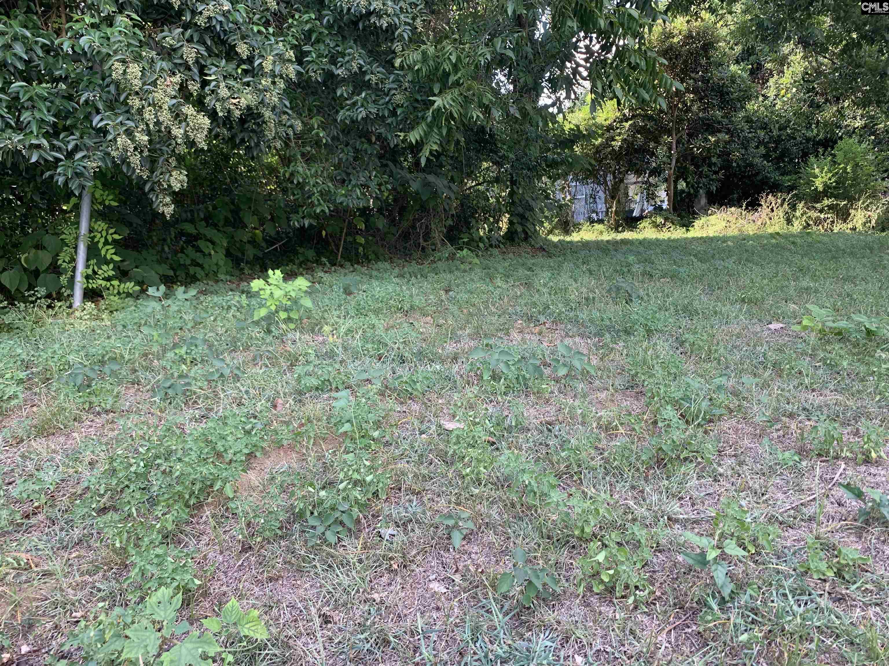 2313 Greene Street Columbia, SC 29205