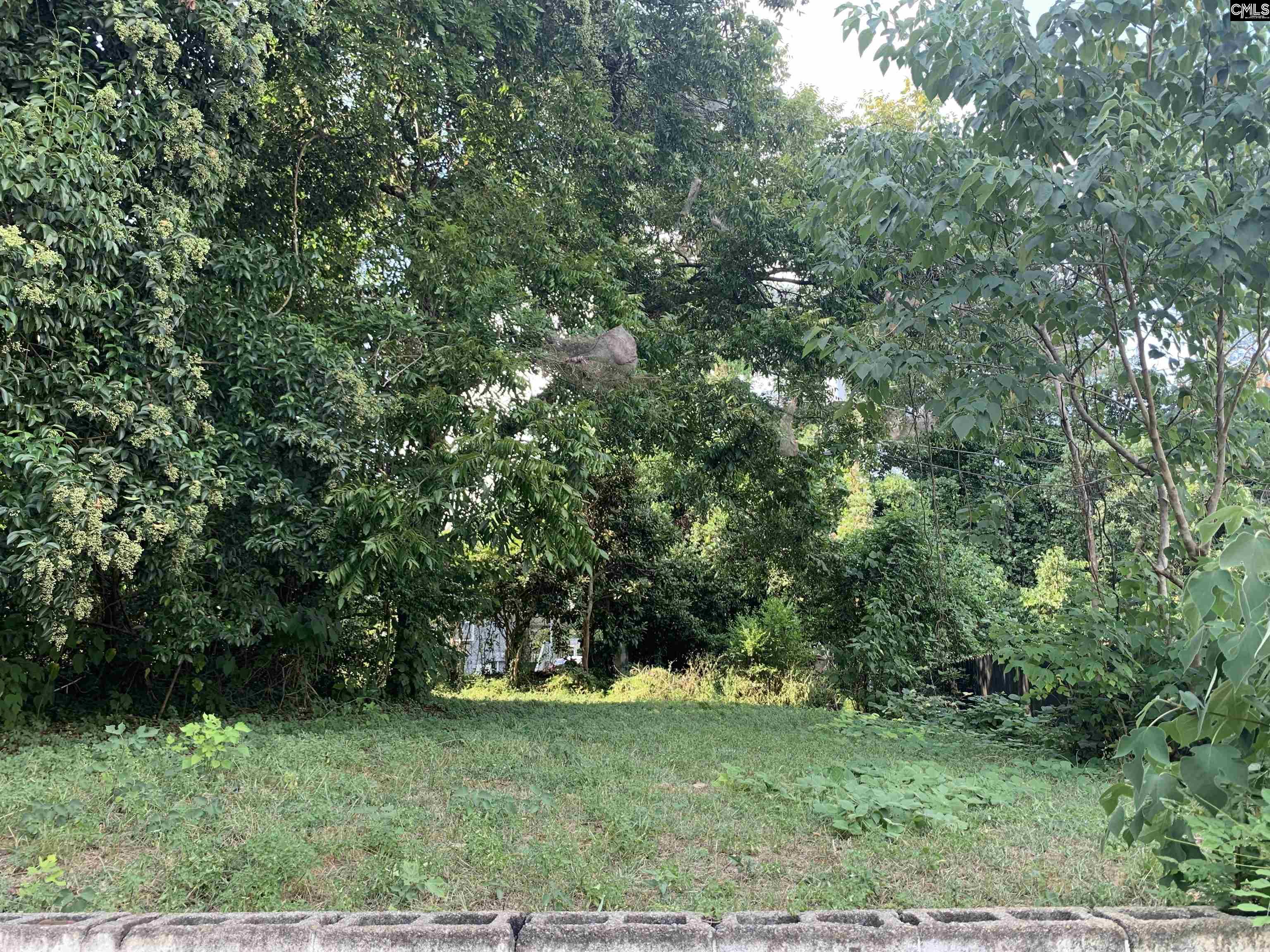 2313 Greene Street Columbia, SC 29205
