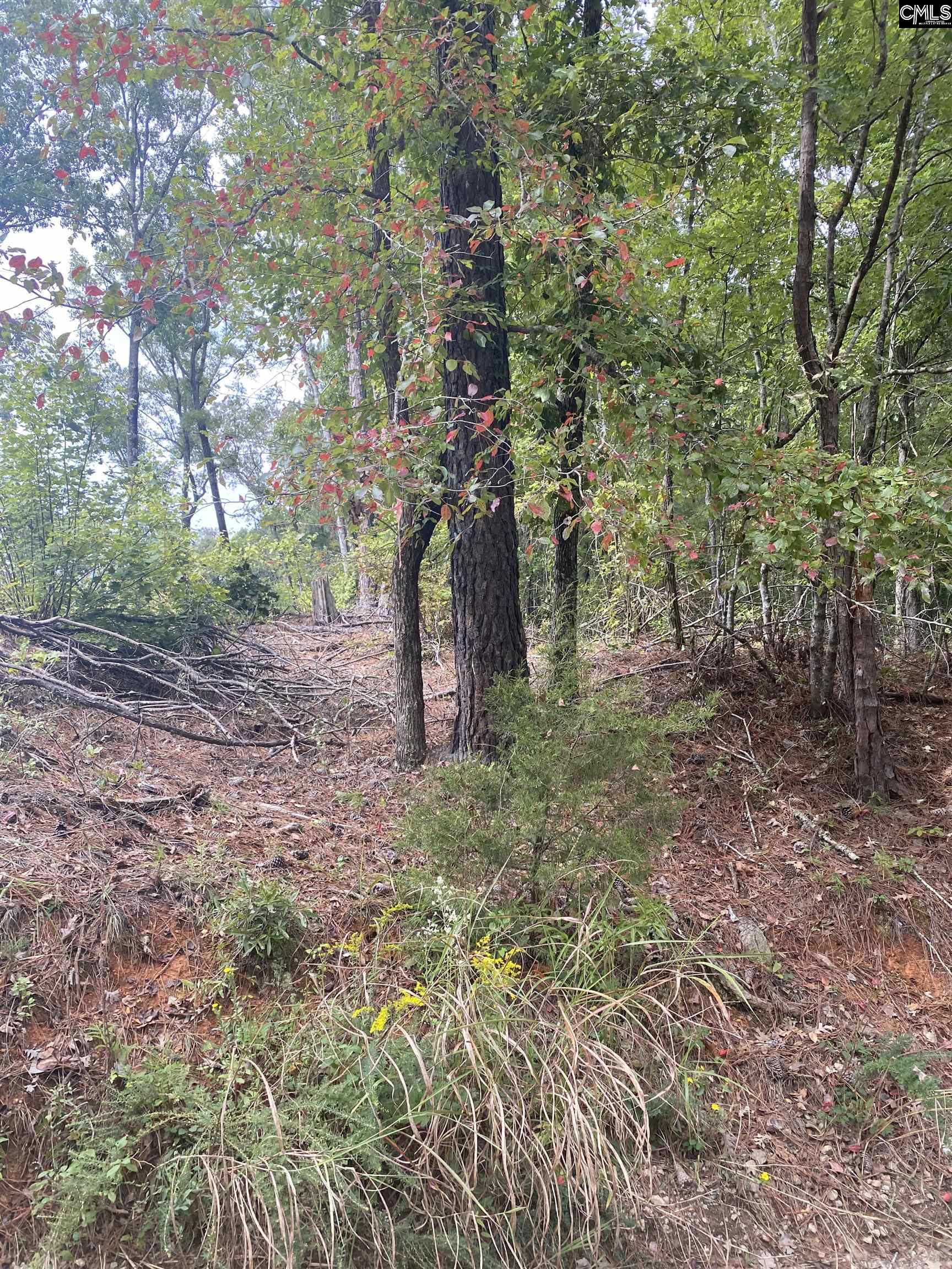 none Claude Bundrick Blythewood, SC 29016