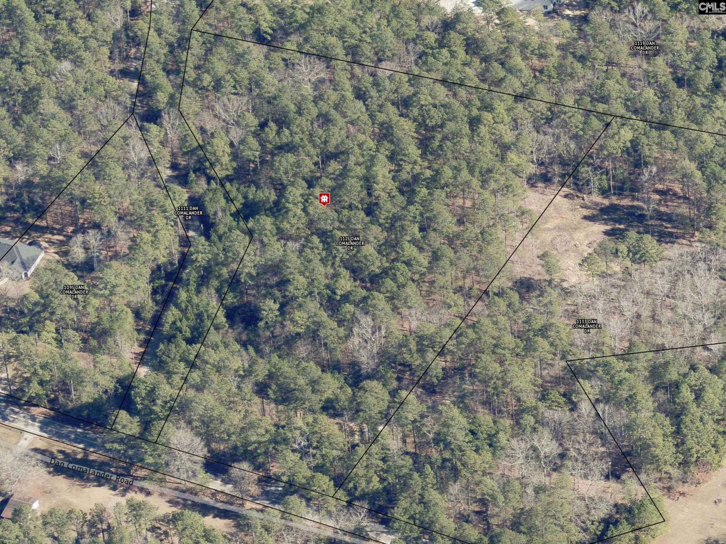 1125 Dan Comalander Drive, Chapin, South Carolina image 1