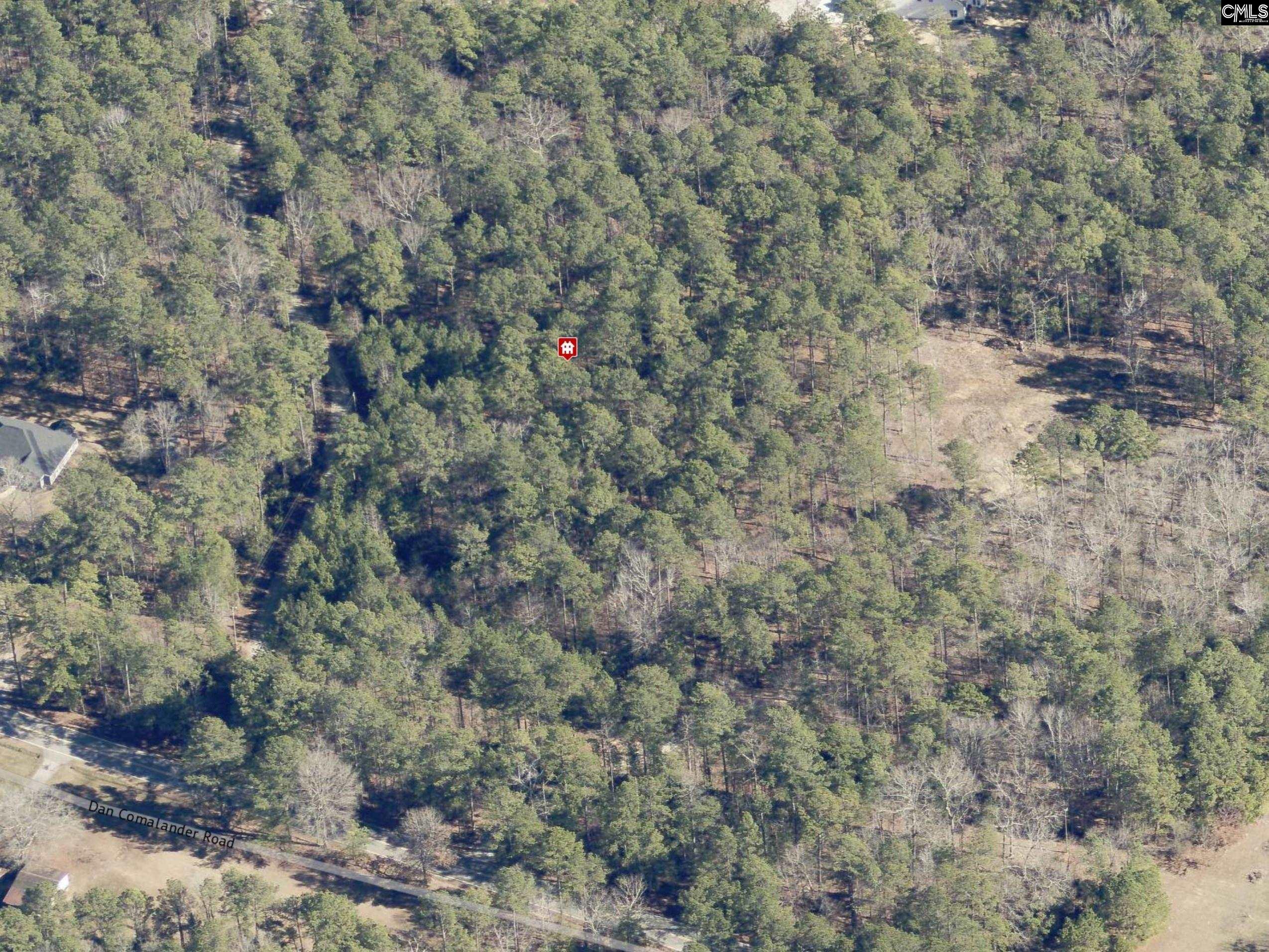 1125 Dan Comalander Drive, Chapin, South Carolina image 2