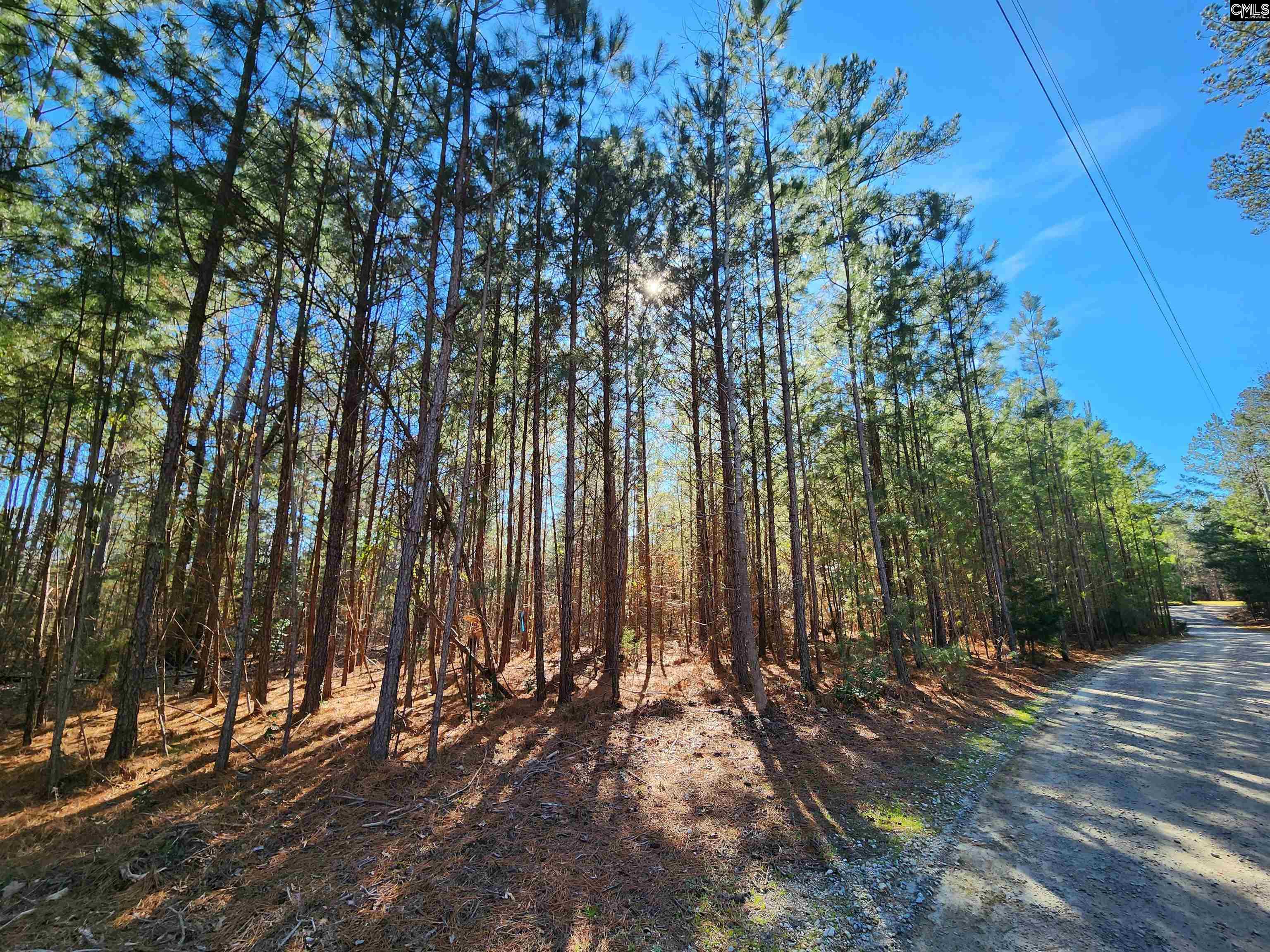 1125 Dan Comalander Drive UNIT #05 Chapin, SC 29036