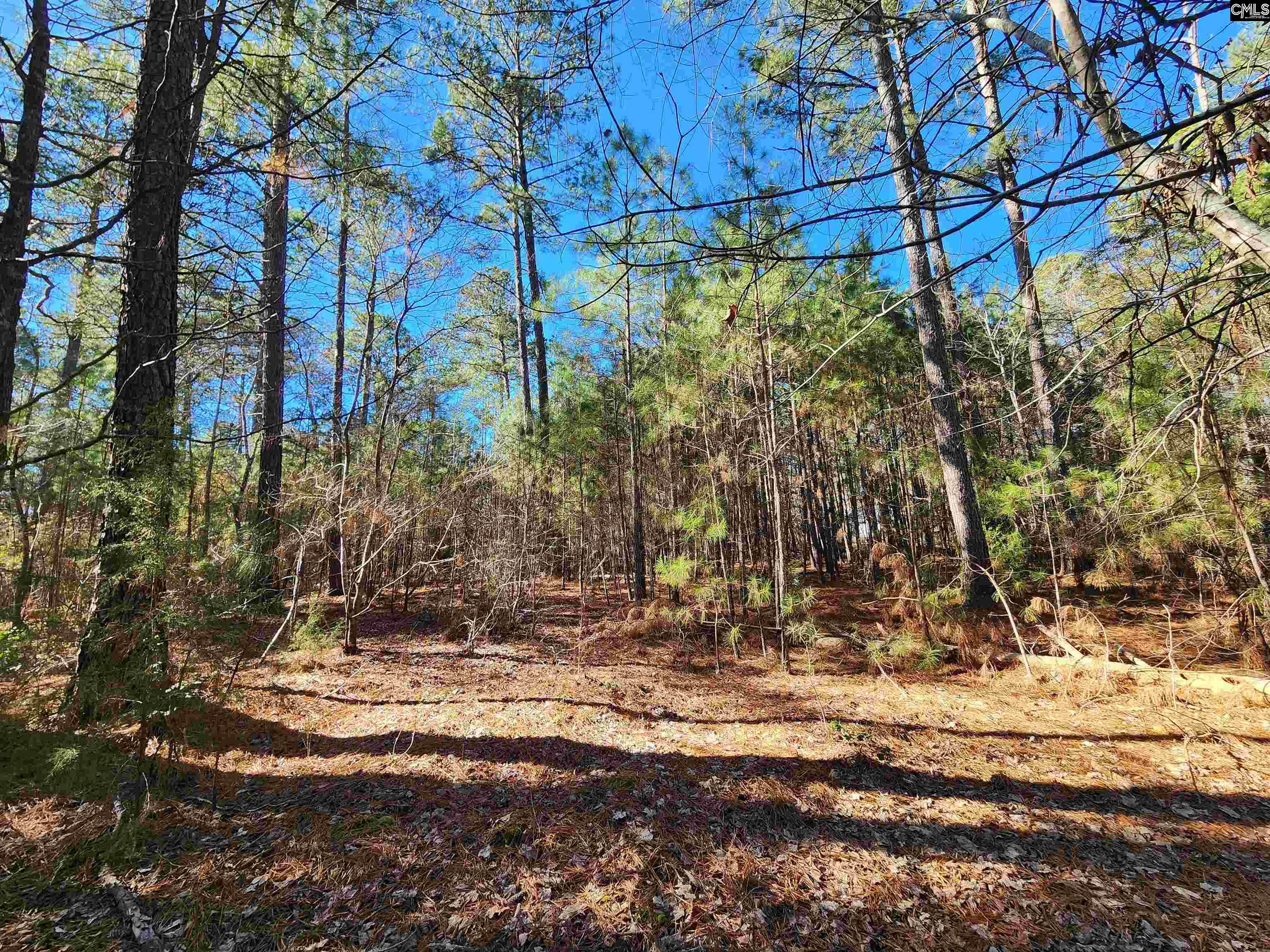 1125 Dan Comalander Drive, Chapin, South Carolina image 15