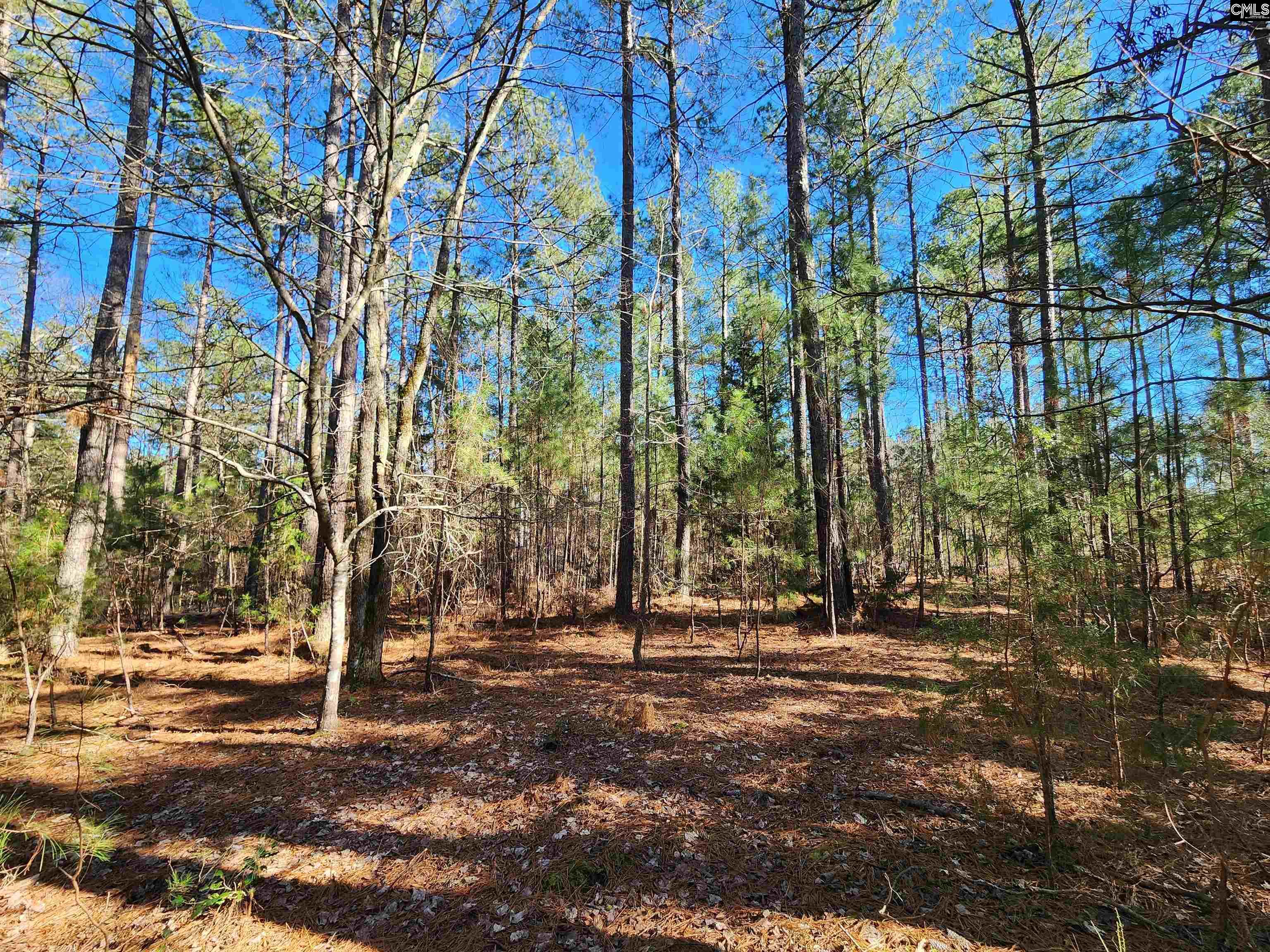 1125 Dan Comalander Drive, Chapin, South Carolina image 16
