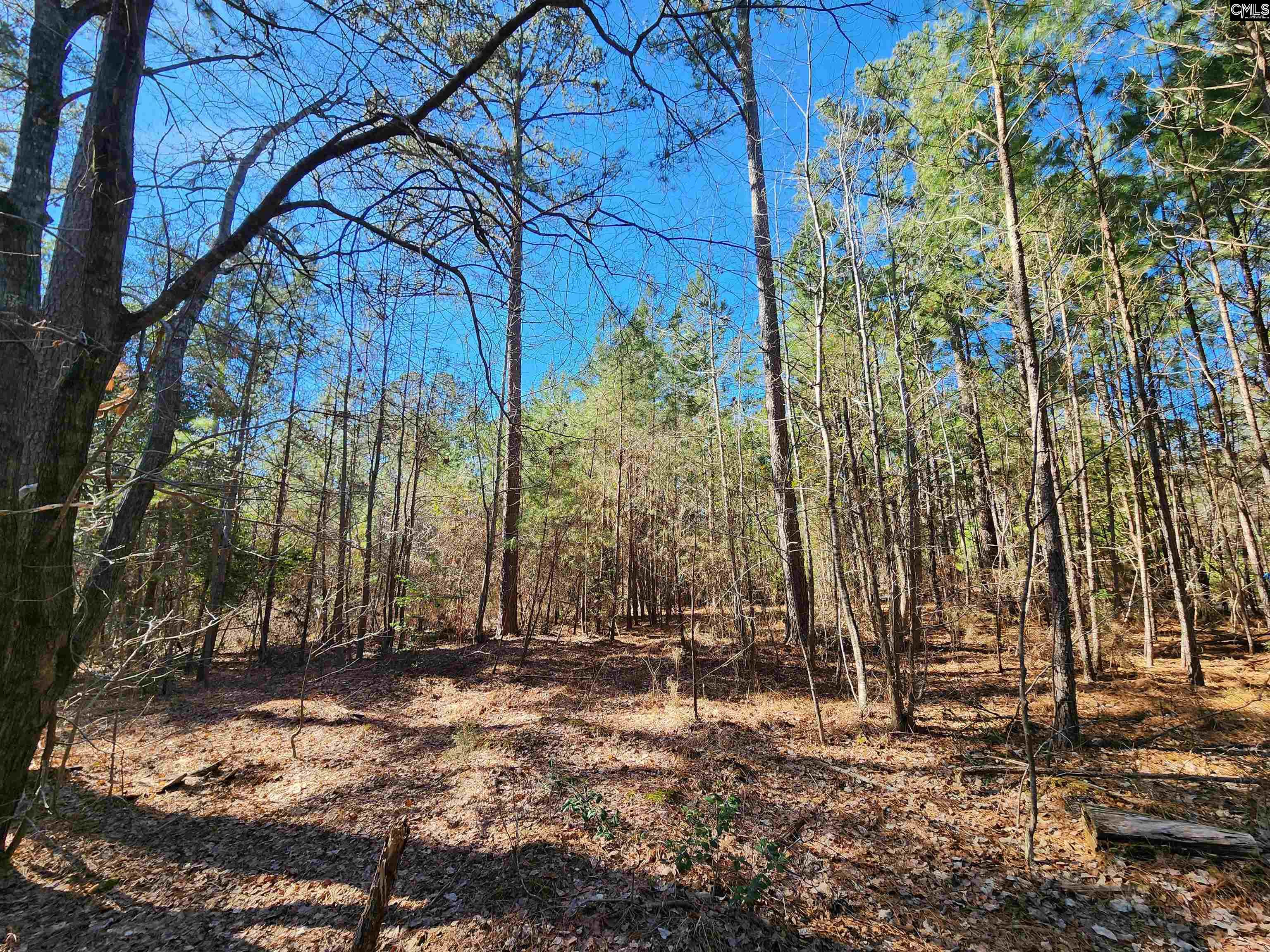 1125 Dan Comalander Drive, Chapin, South Carolina image 17