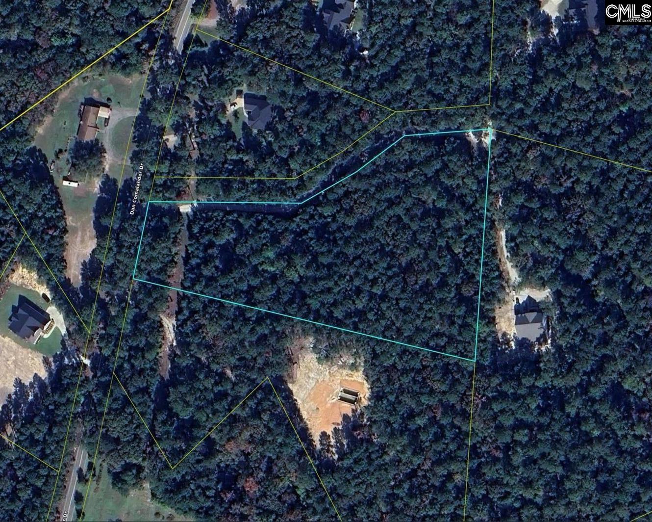 1125 Dan Comalander Drive, Chapin, South Carolina image 20
