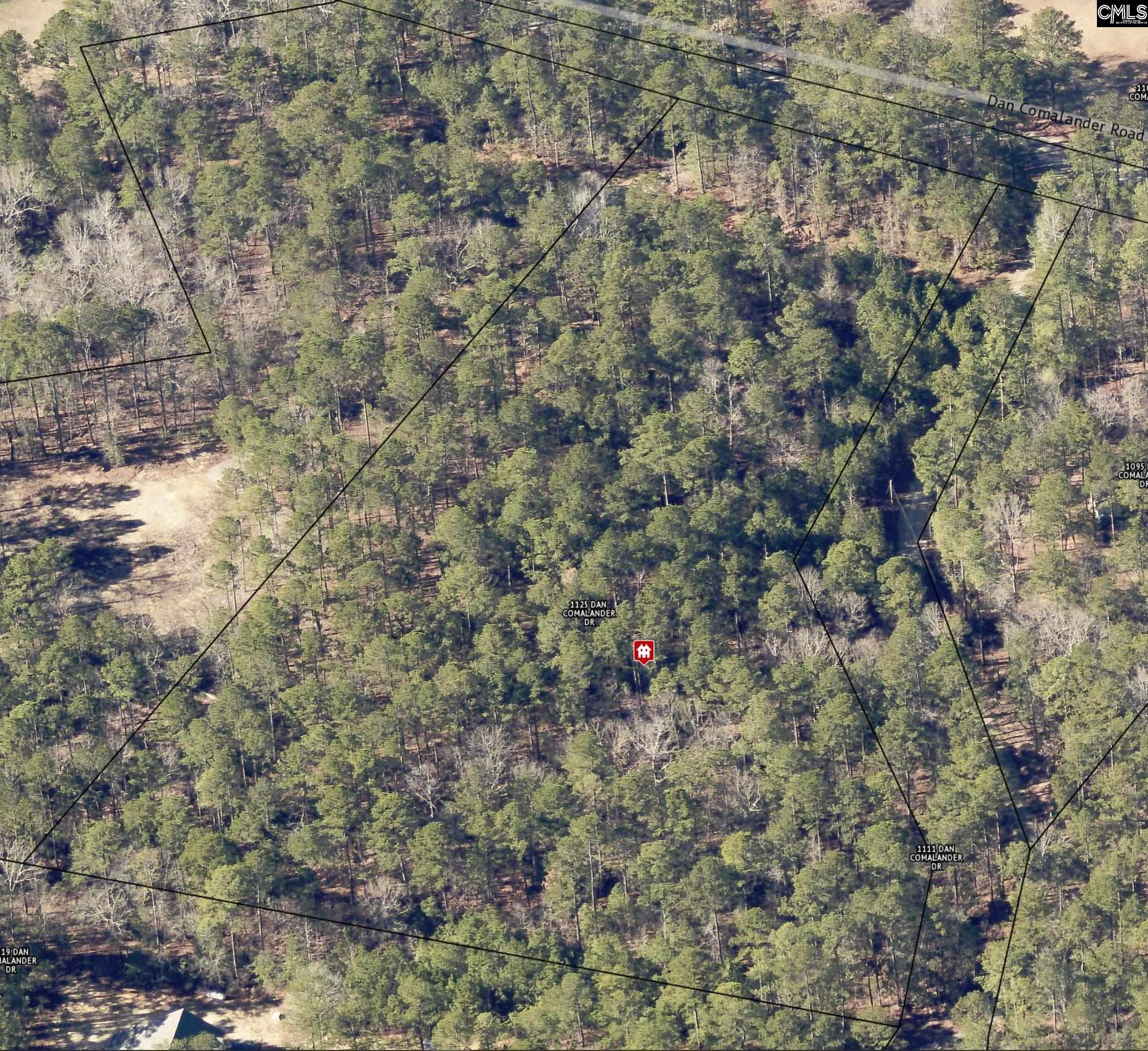 1125 Dan Comalander Drive, Chapin, South Carolina image 3