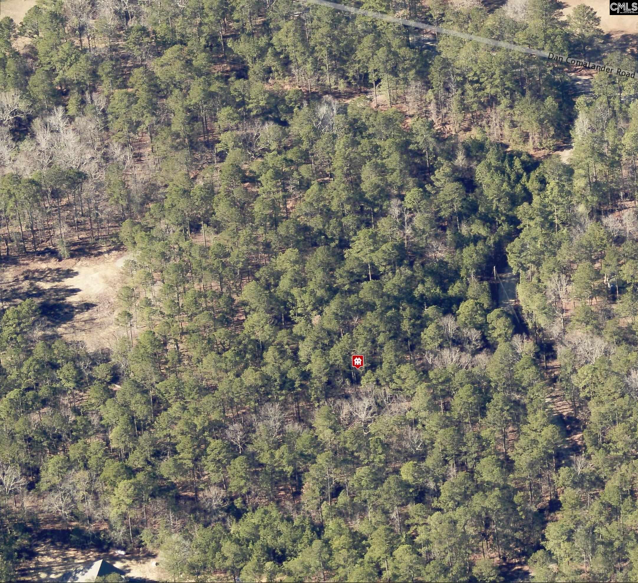1125 Dan Comalander Drive, Chapin, South Carolina image 4