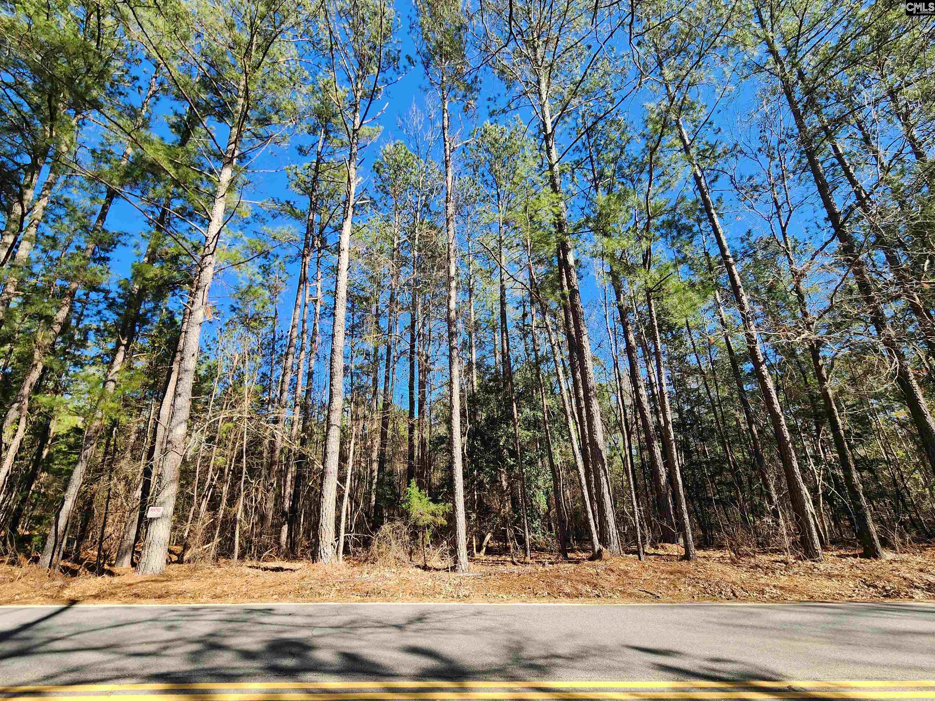 1125 Dan Comalander Drive, Chapin, South Carolina image 6