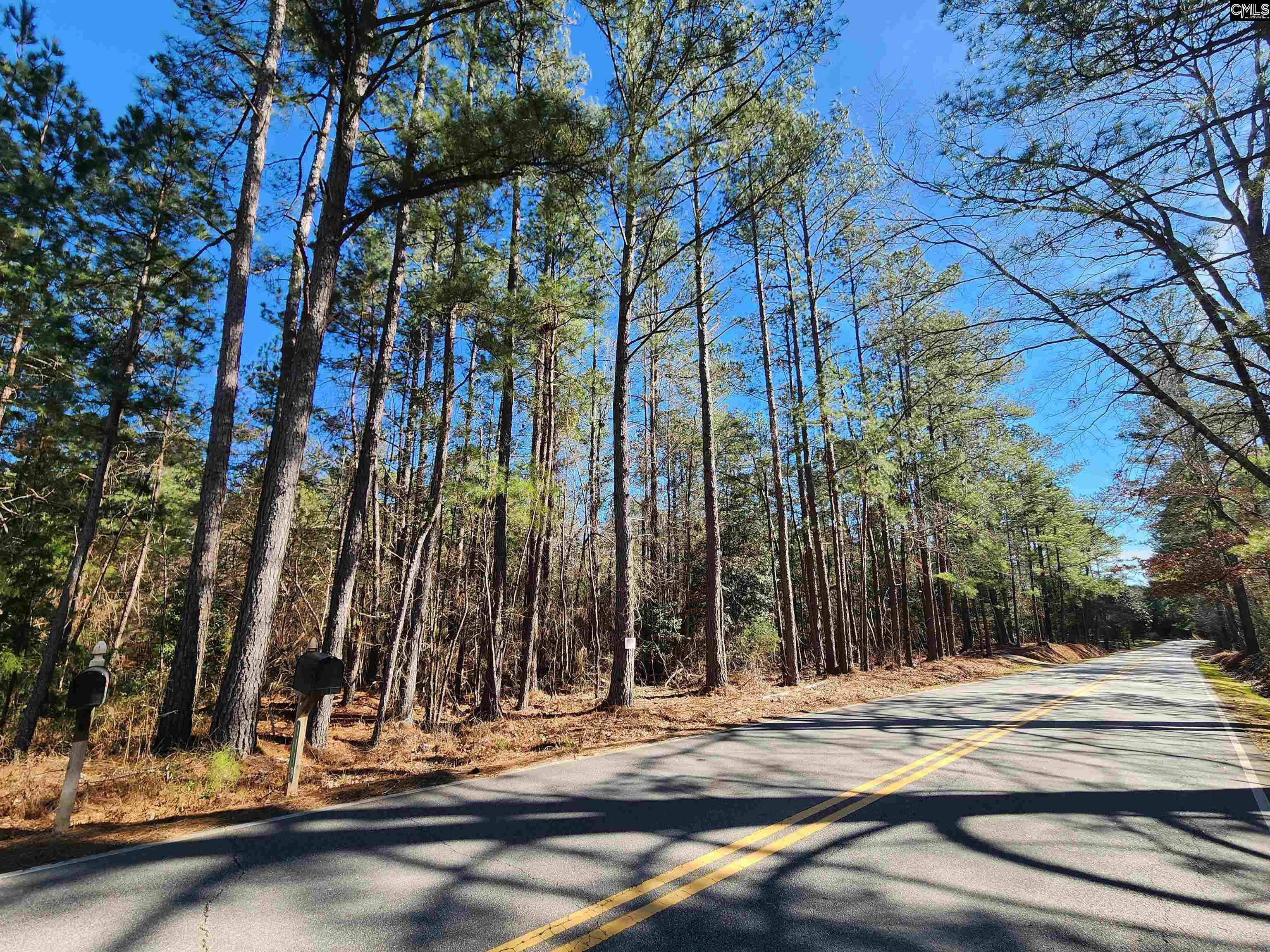1125 Dan Comalander Drive UNIT #05 Chapin, SC 29036