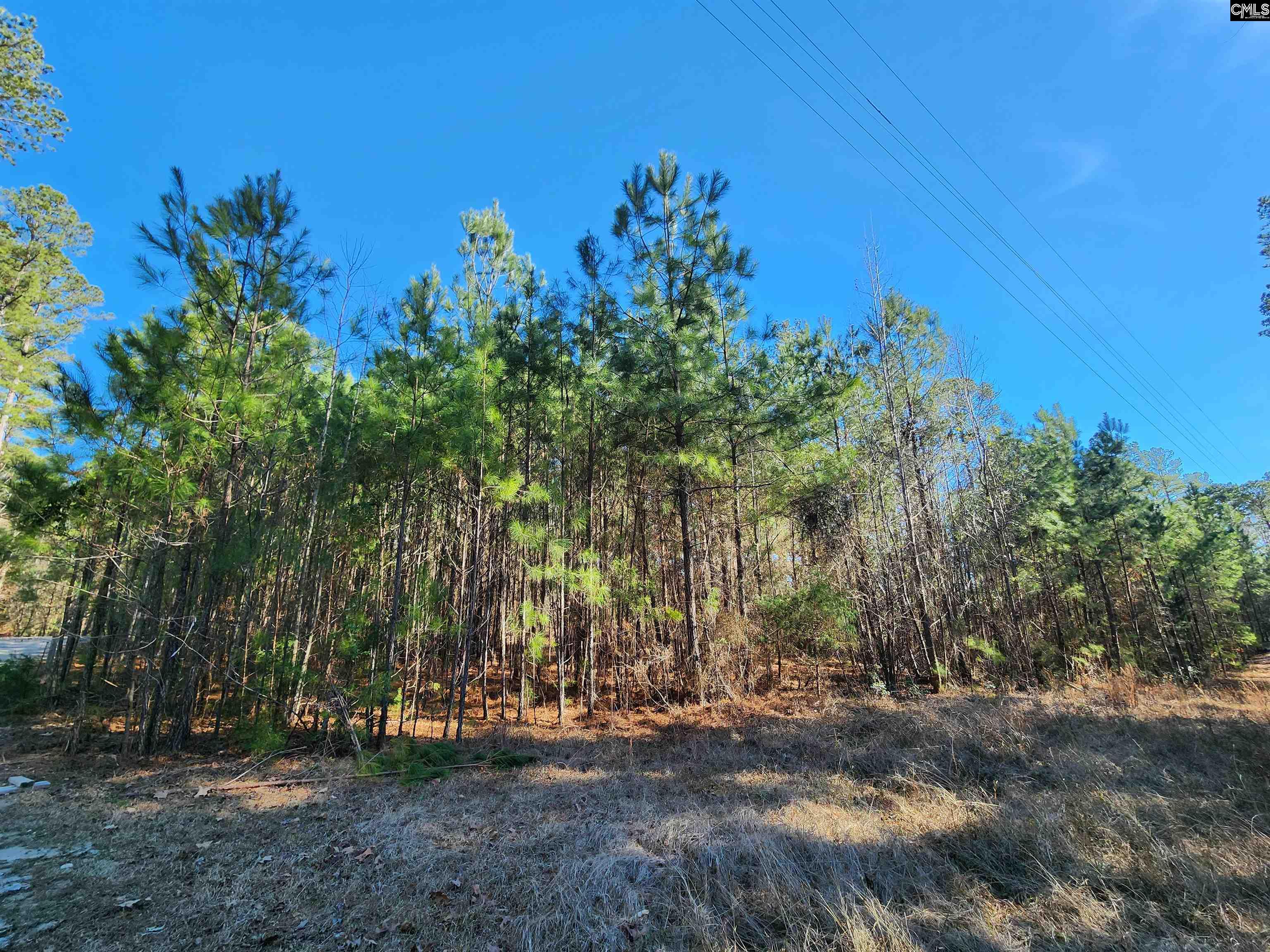 1125 Dan Comalander Drive, Chapin, South Carolina image 8
