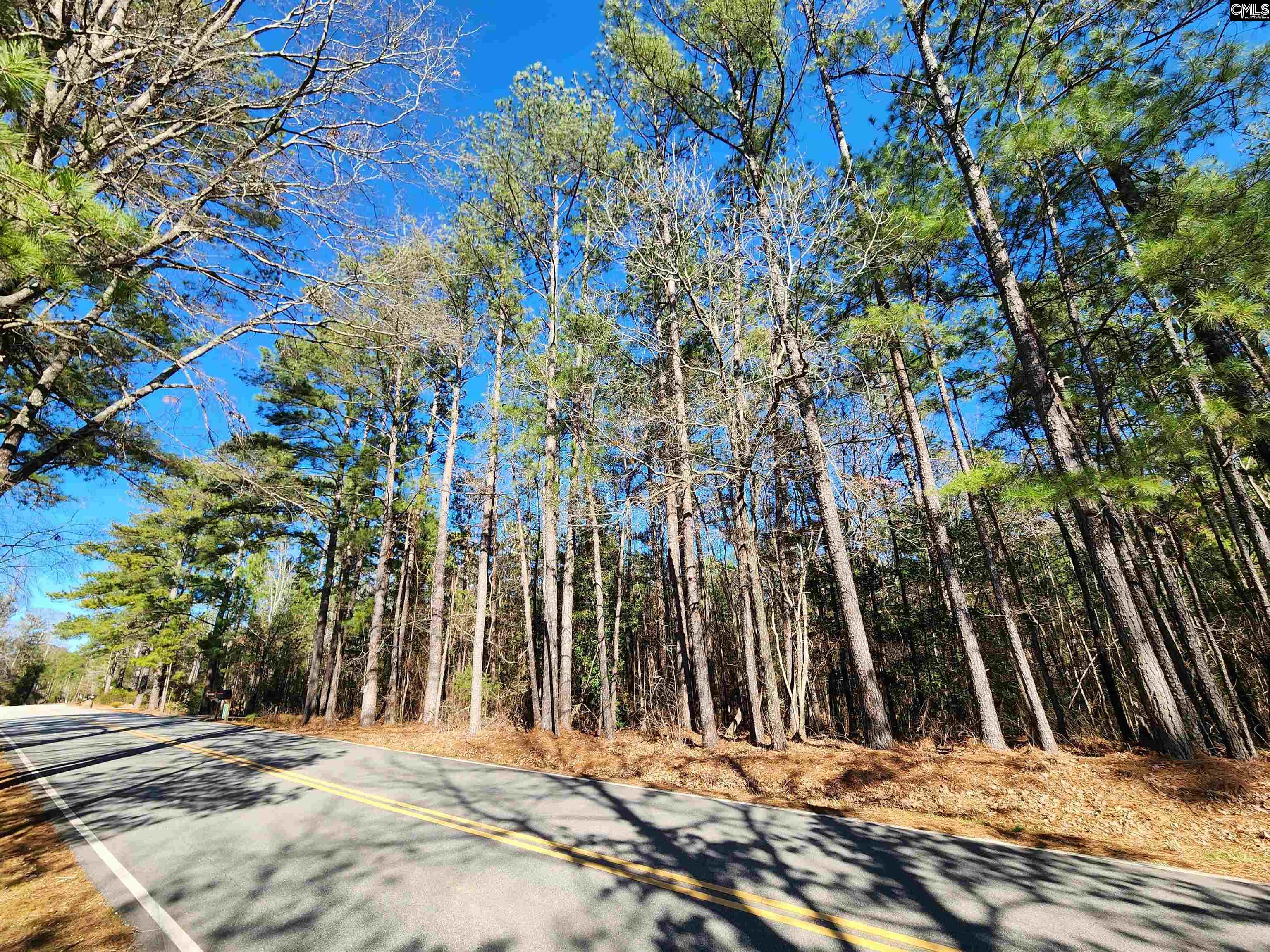 1125 Dan Comalander Drive UNIT #05 Chapin, SC 29036