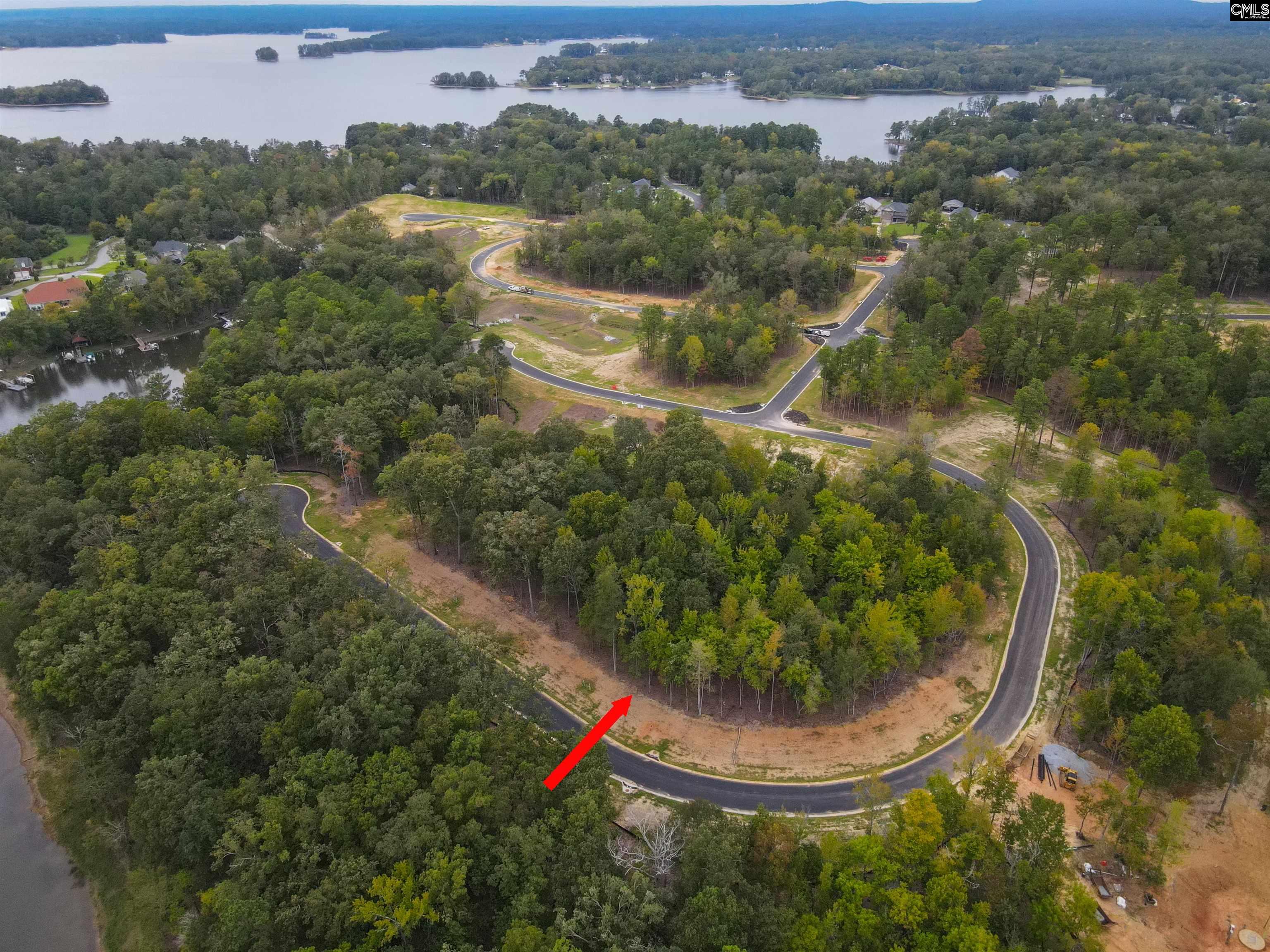 1064 Refuge Place, Chapin, South Carolina image 17