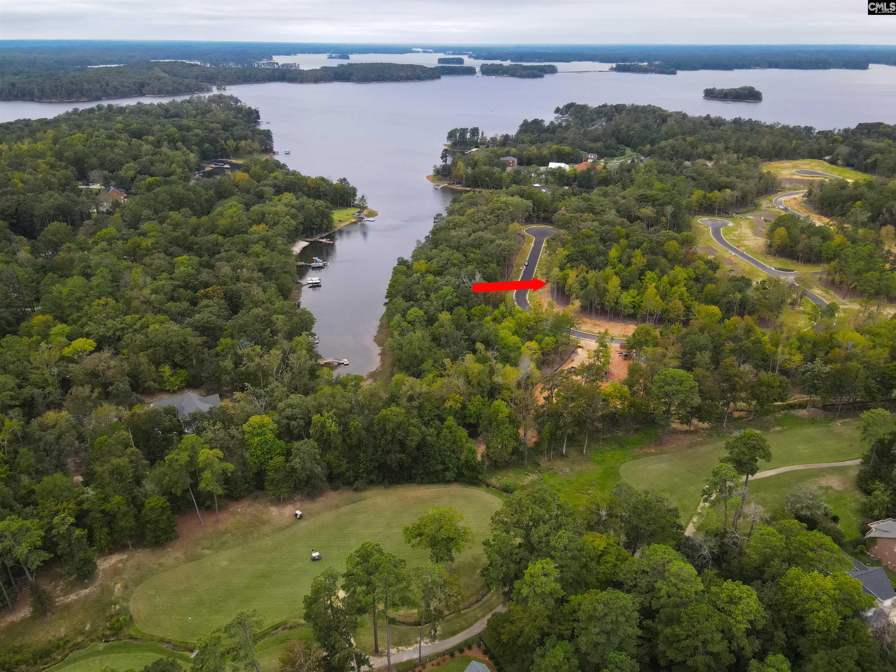 1064 Refuge Place, Chapin, South Carolina image 18