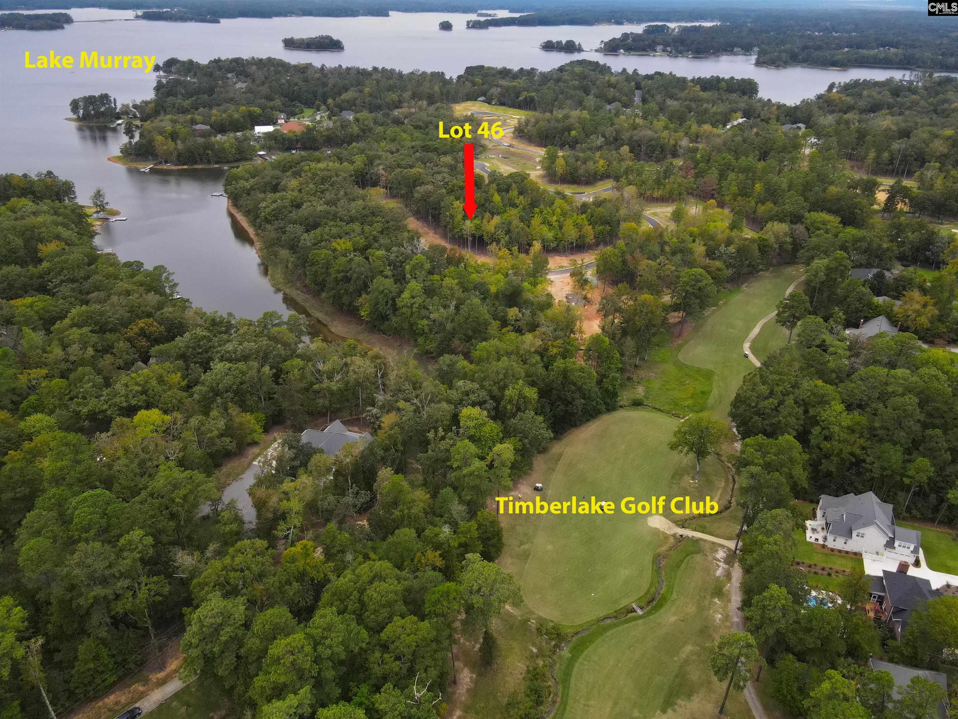 1064 Refuge Place, Chapin, South Carolina image 20