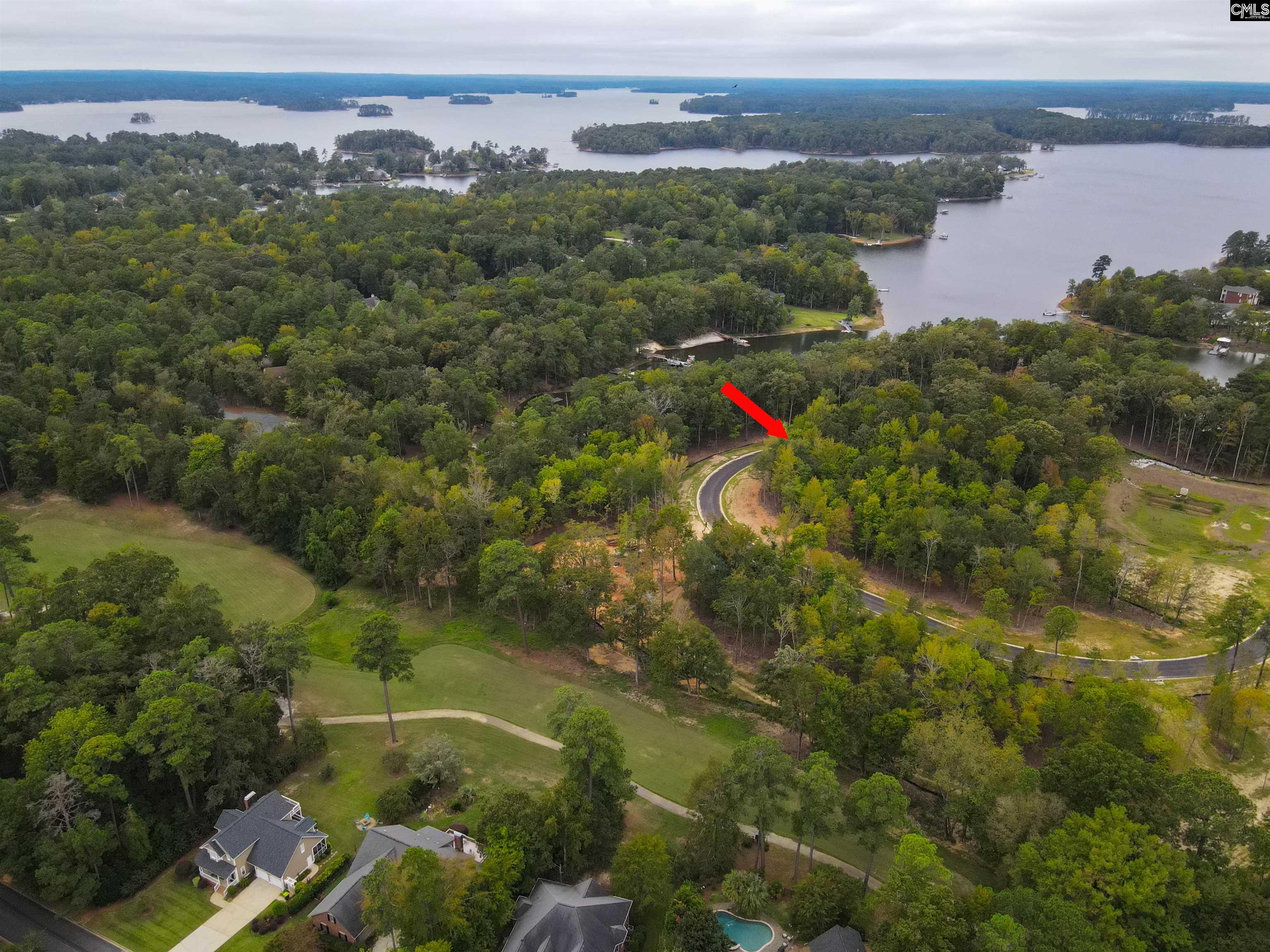 1064 Refuge Place, Chapin, South Carolina image 24