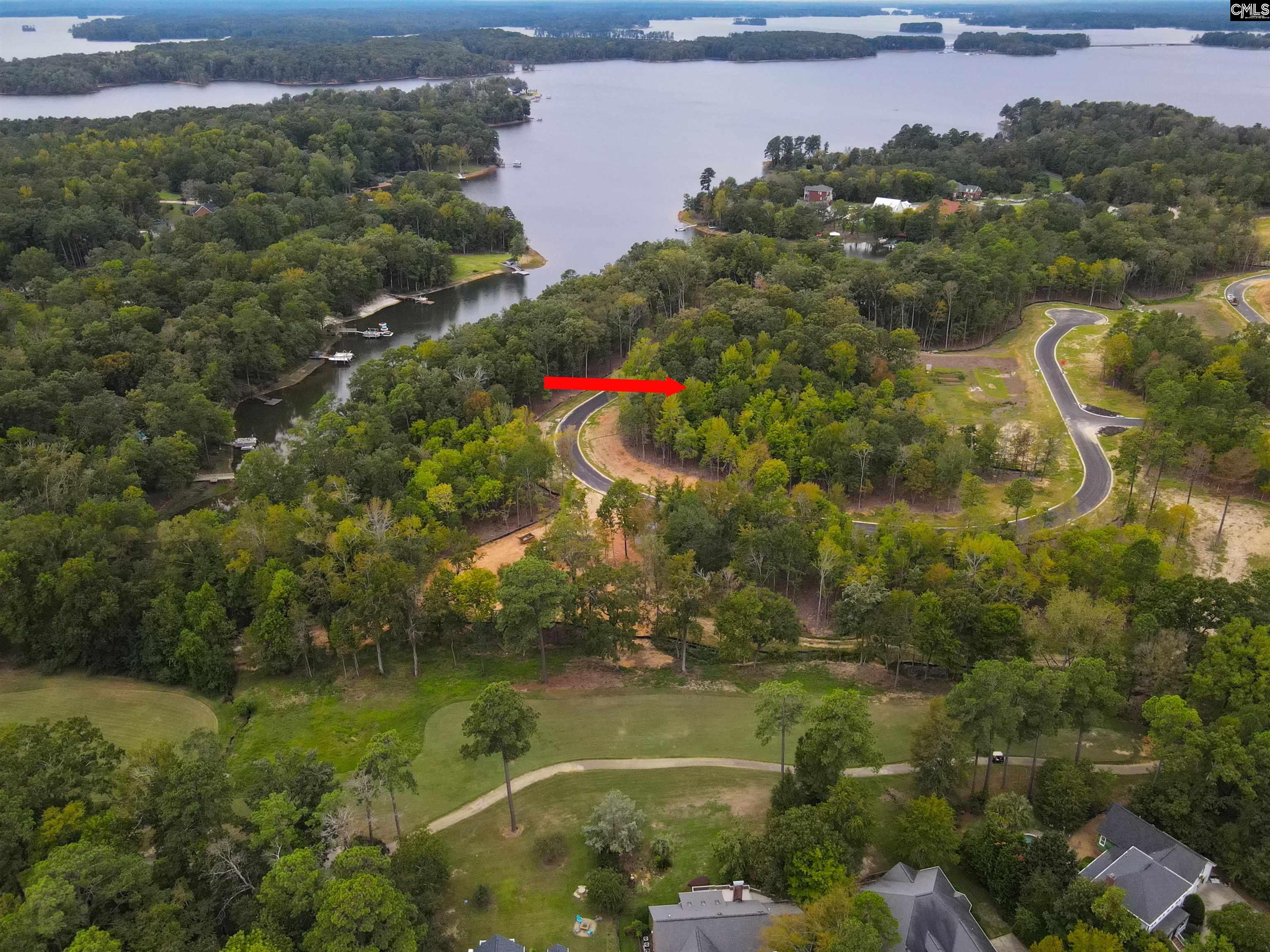 1064 Refuge Place, Chapin, South Carolina image 25